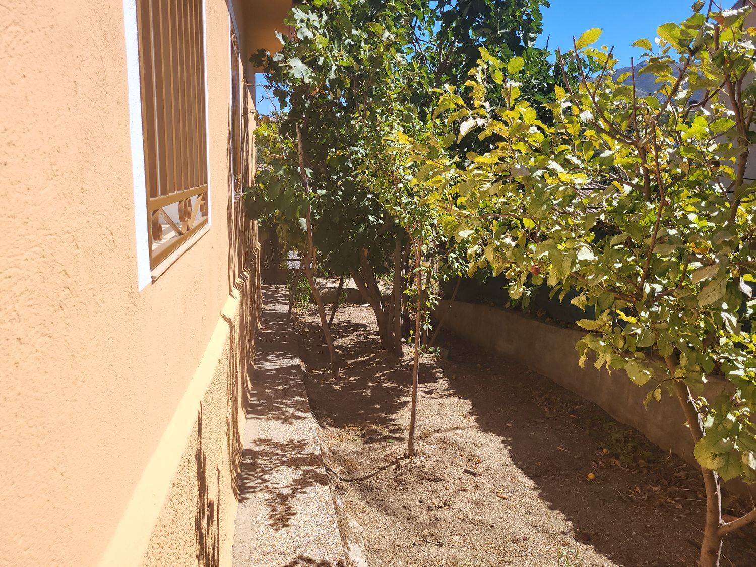 Casas o chalets-Venta-Burgohondo-1836271-Foto-29