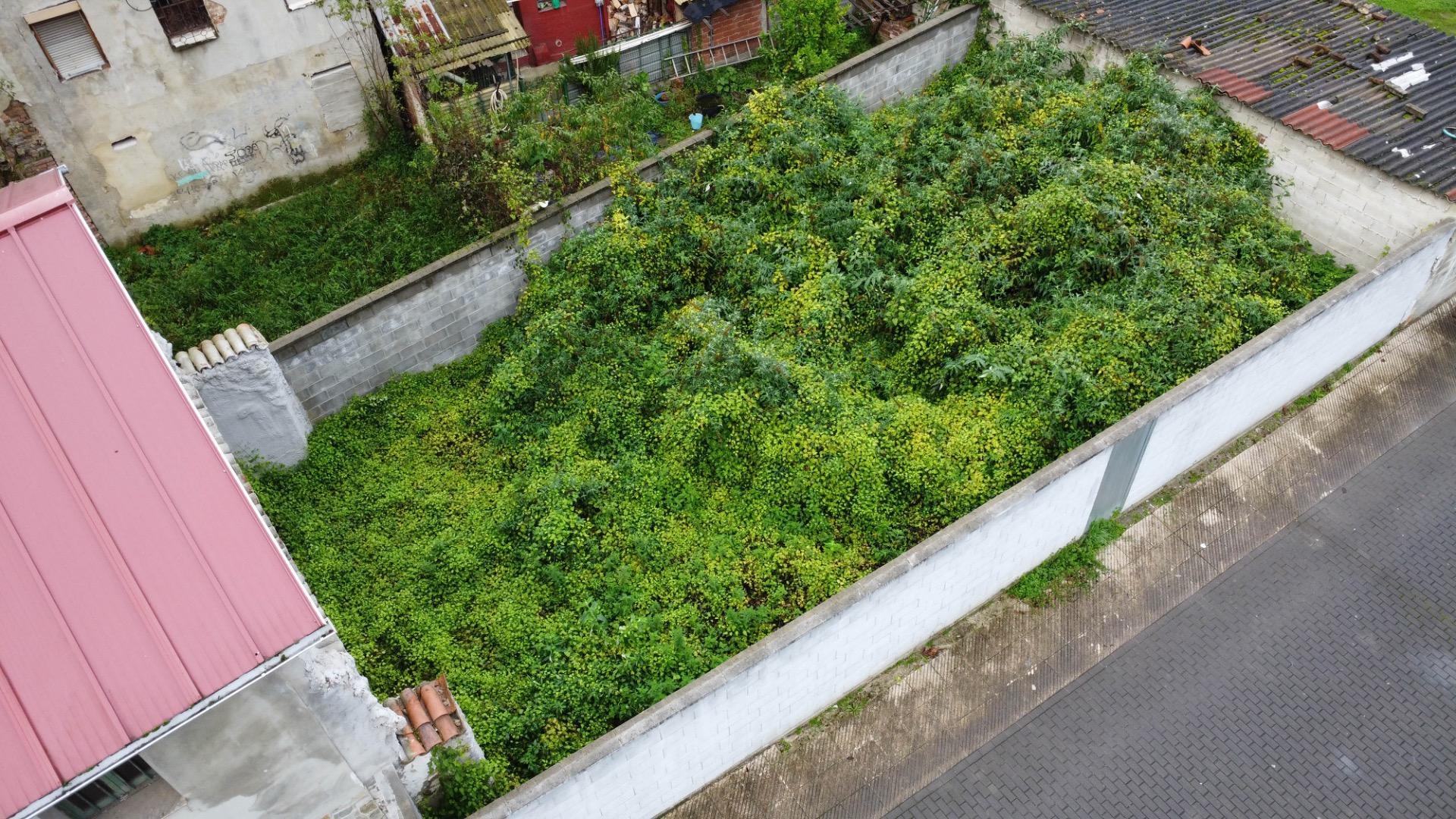 Fincas y solares-Venta-San MartÃ­n del Rey Aurelio-1480195-Foto-4
