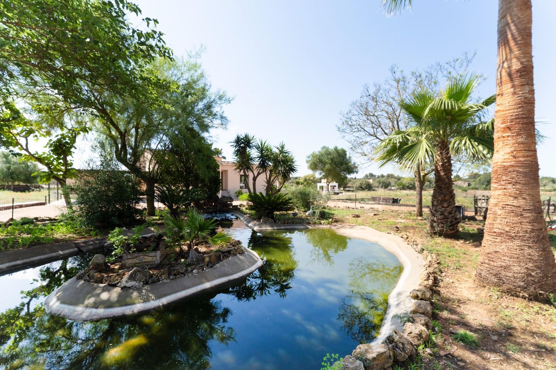 Pisos-Venta-Sencelles-1745160-Foto-39
