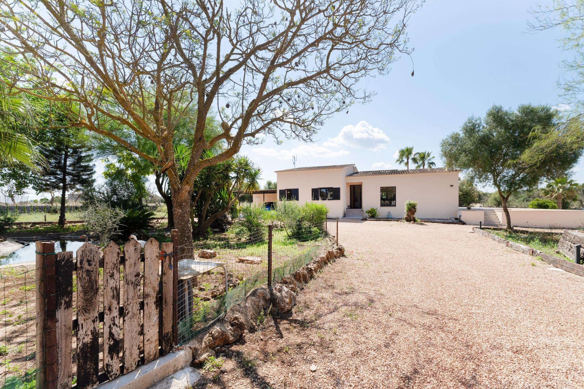 Pisos-Venta-Sencelles-1745160-Foto-42