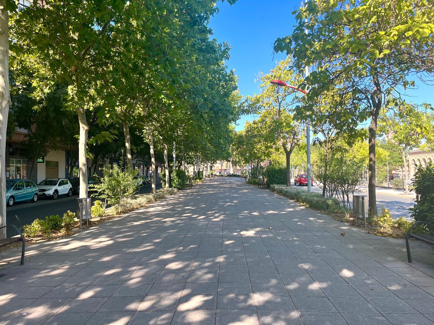 Pisos-Alquiler-Toledo-1837318-Foto-5