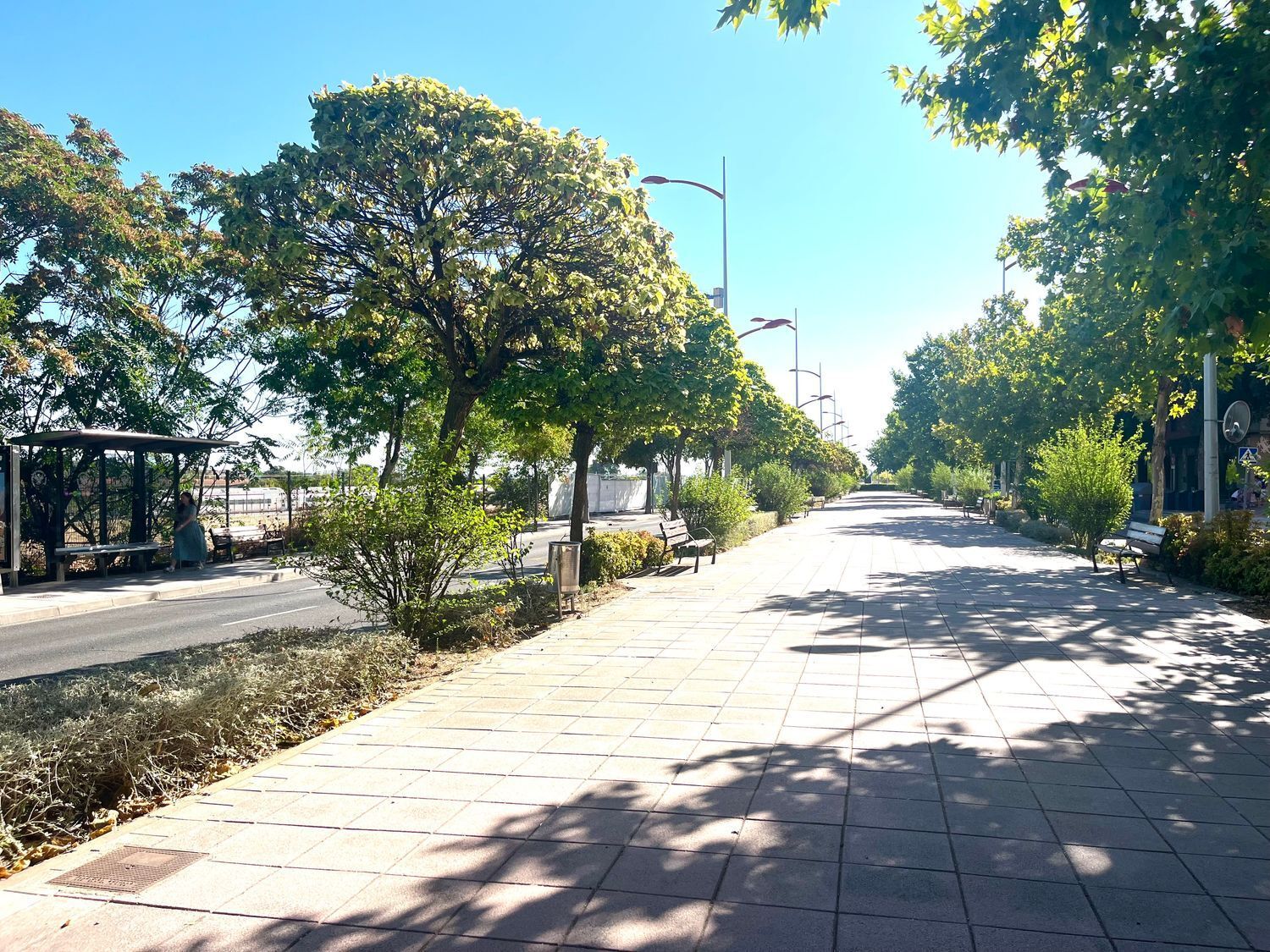 Pisos-Alquiler-Toledo-1837318-Foto-6