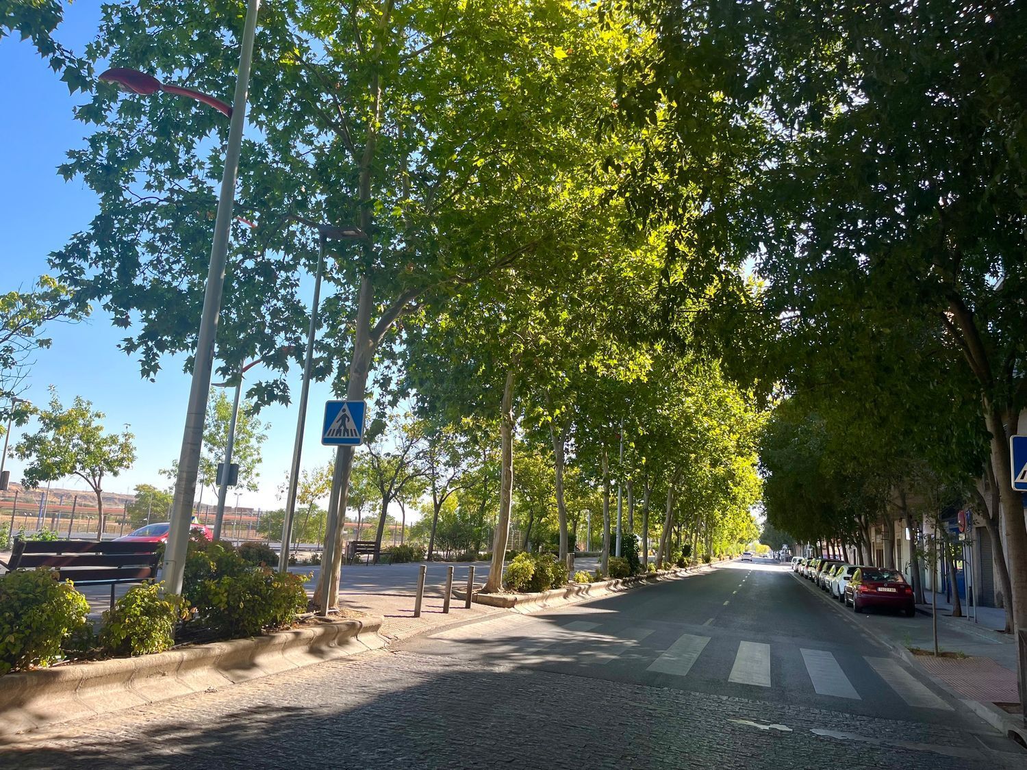 Pisos-Alquiler-Toledo-1837318-Foto-4