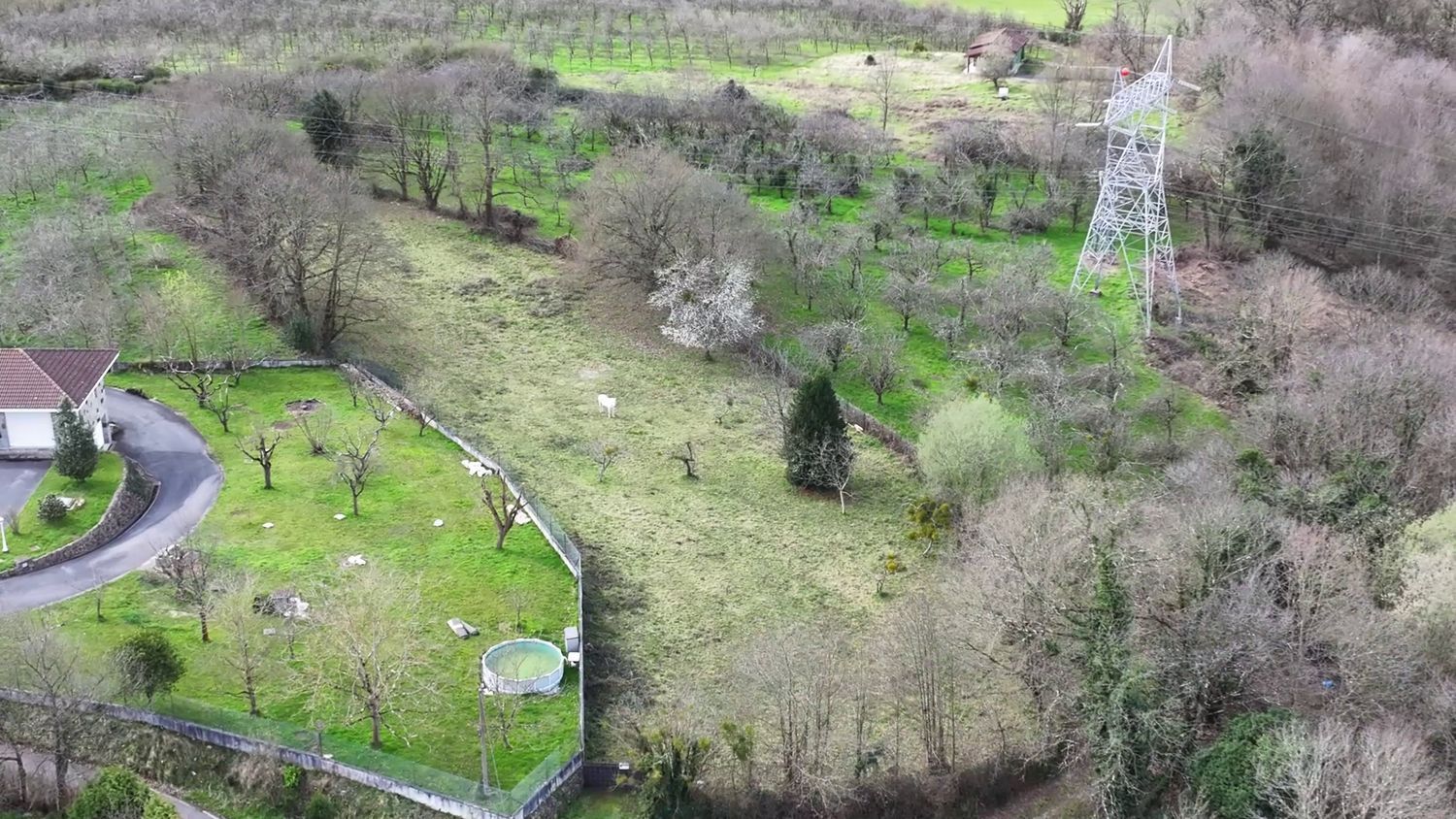 Fincas y solares-Venta-Siero-1678720-Foto-6