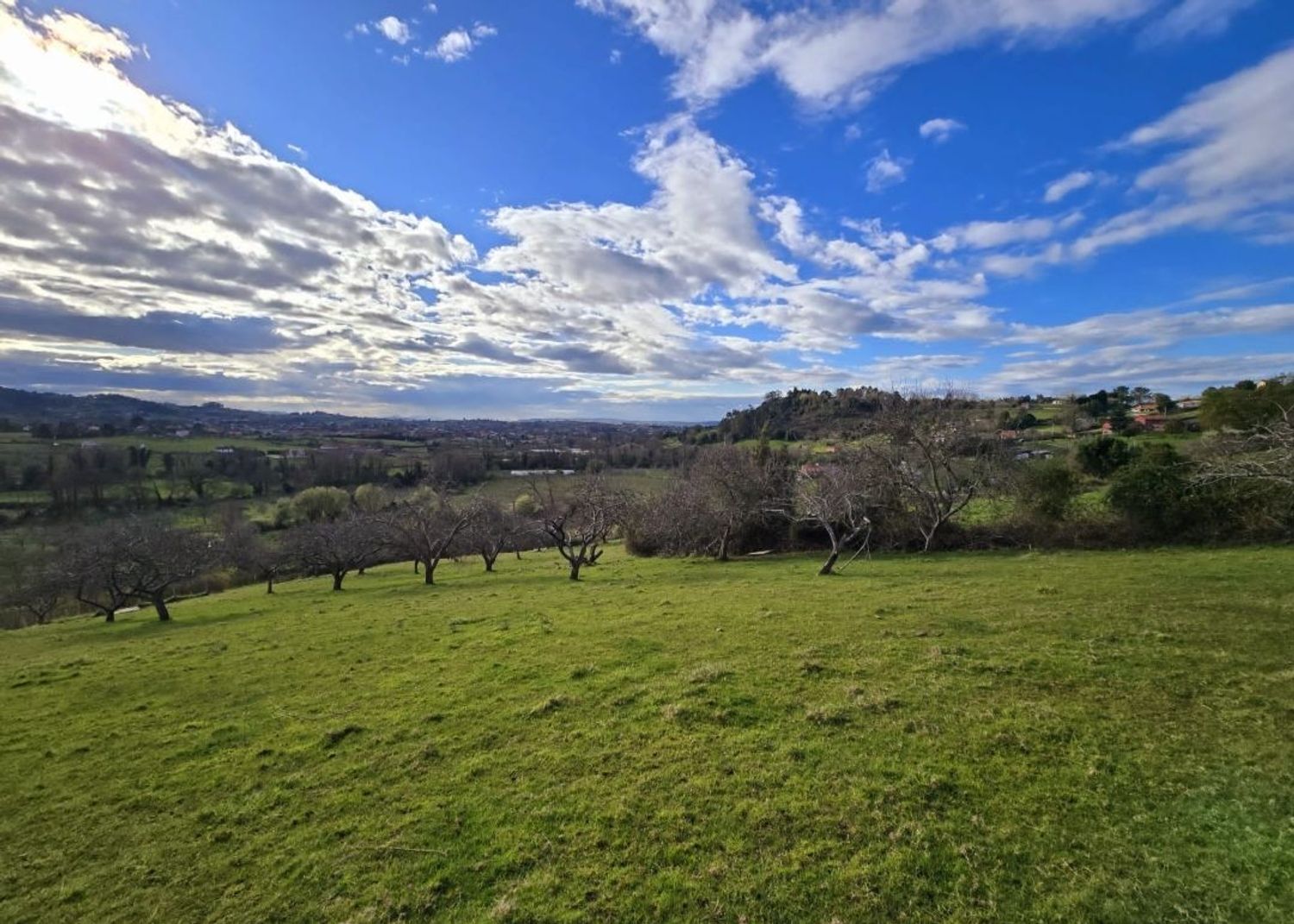 Fincas y solares-Venta-Gijón-1681029