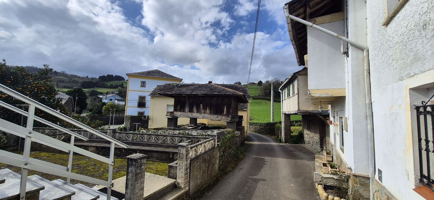 Casas o chalets-Venta-Coaña-1653725