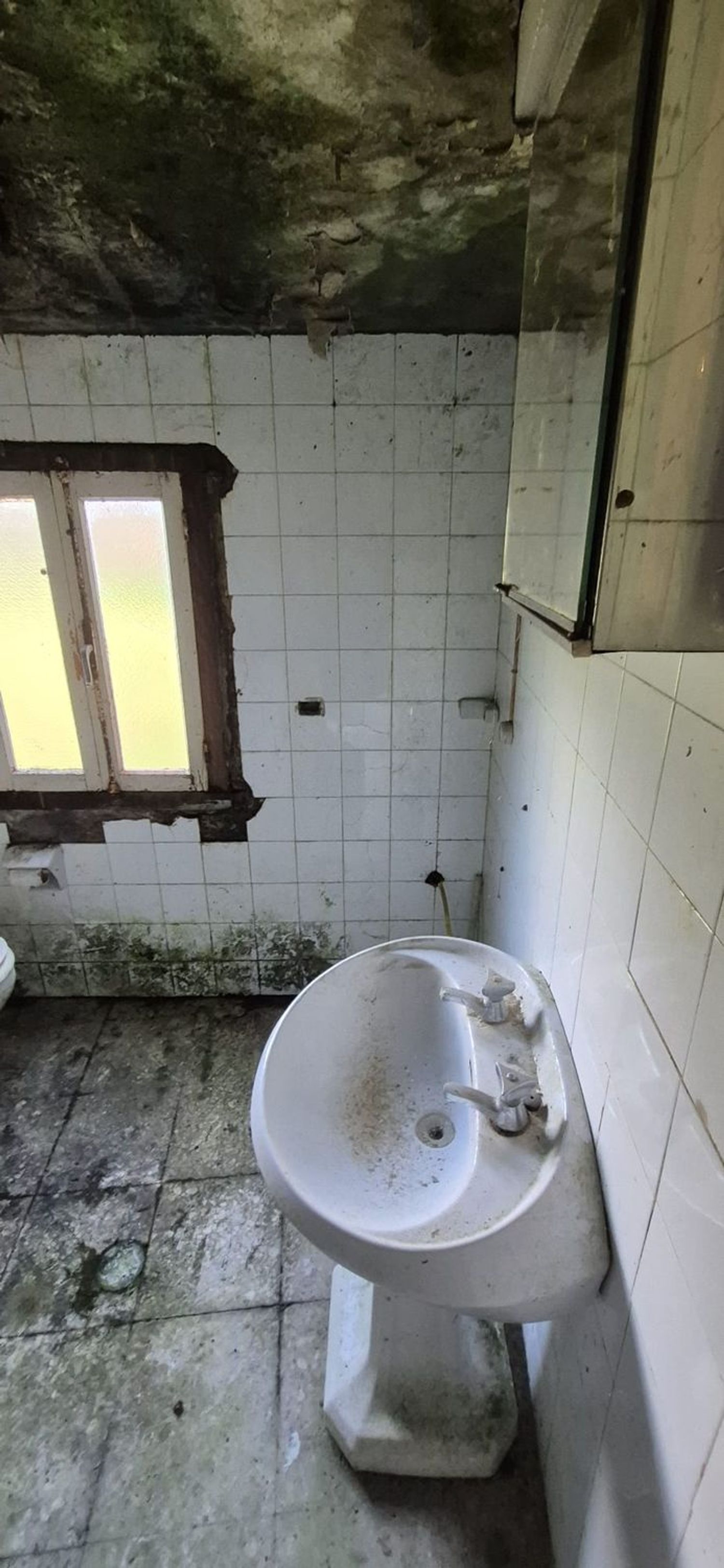 Casas o chalets-Venta-CoaÃ±a-1653725-Foto-27