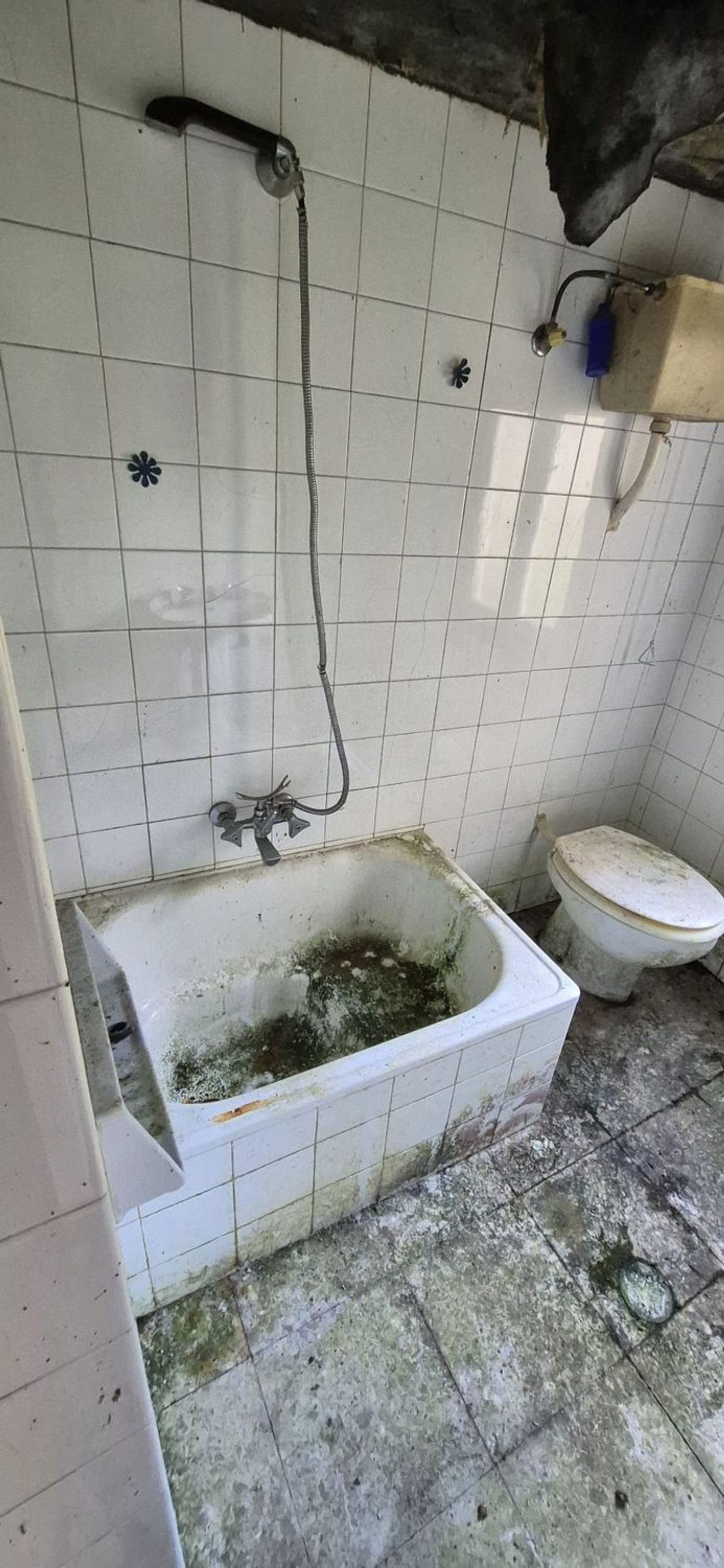 Casas o chalets-Venta-CoaÃ±a-1653725-Foto-29