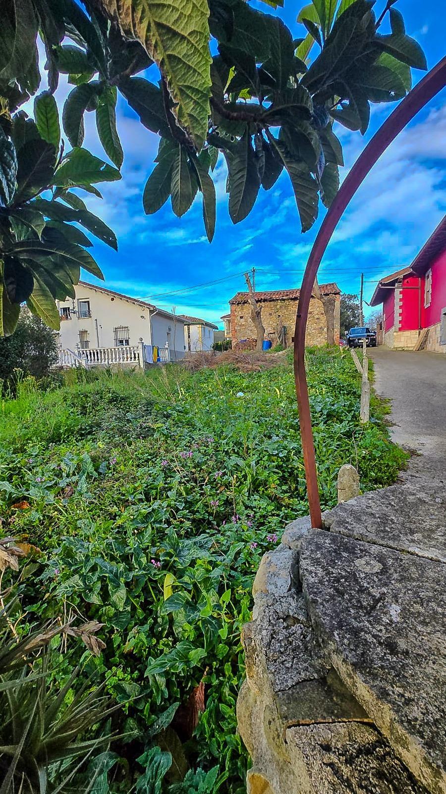 Fincas y solares-Venta-CastaÃ±eda-1684397-Foto-4