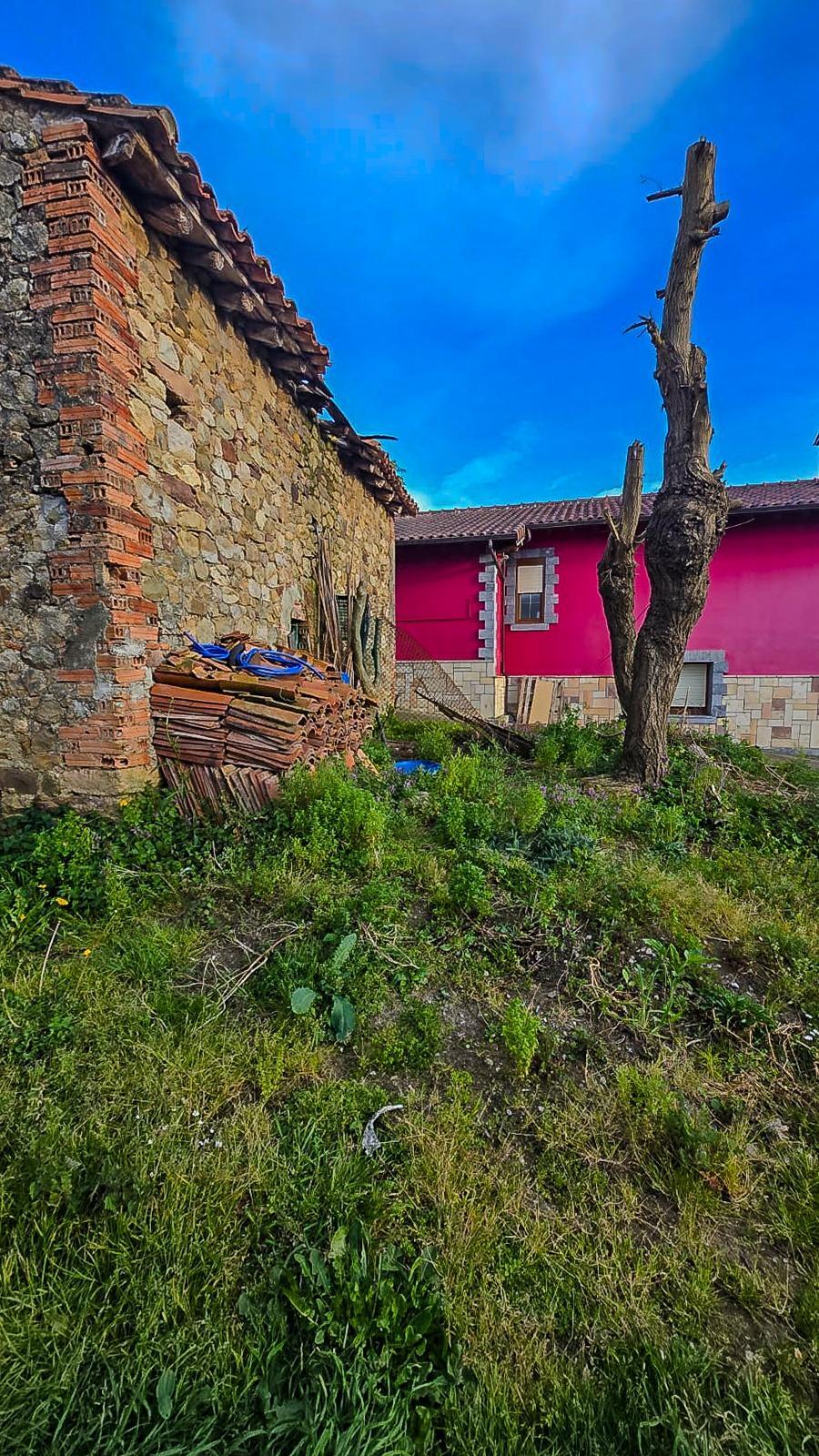Fincas y solares-Venta-CastaÃ±eda-1684397-Foto-5