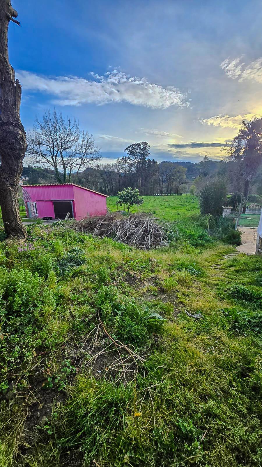 Fincas y solares-Venta-CastaÃ±eda-1684397-Foto-8
