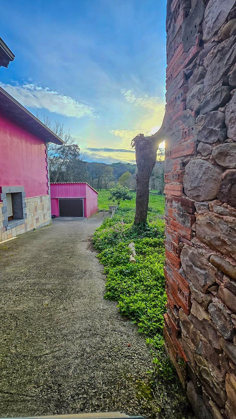 Fincas y solares-Venta-CastaÃ±eda-1684397-Foto-9