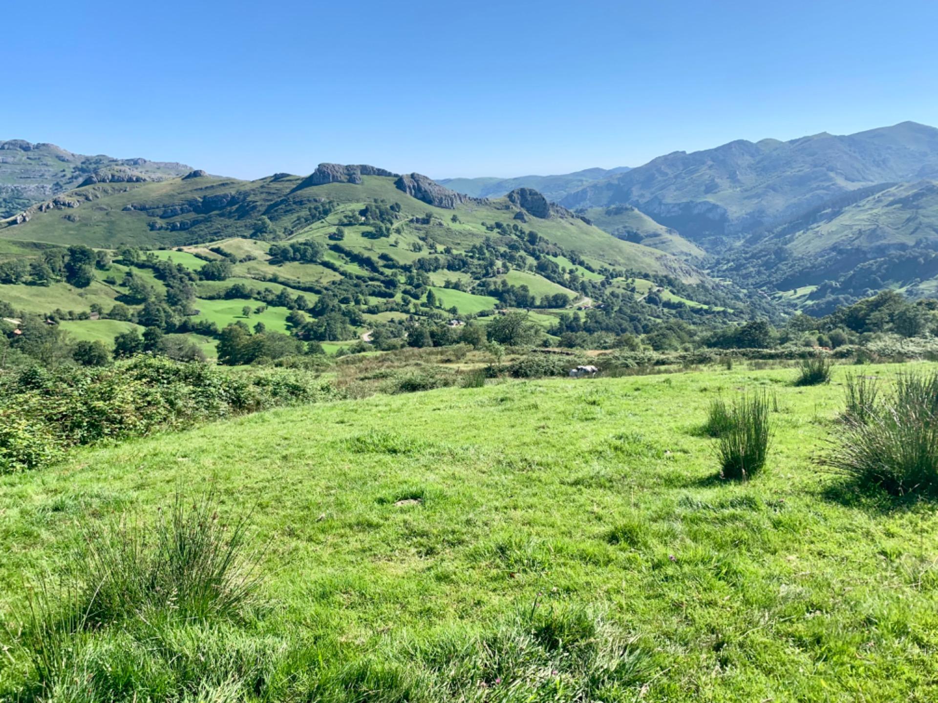 Casas o chalets-Venta-San Roque de Riomera	-1838497-Foto-50