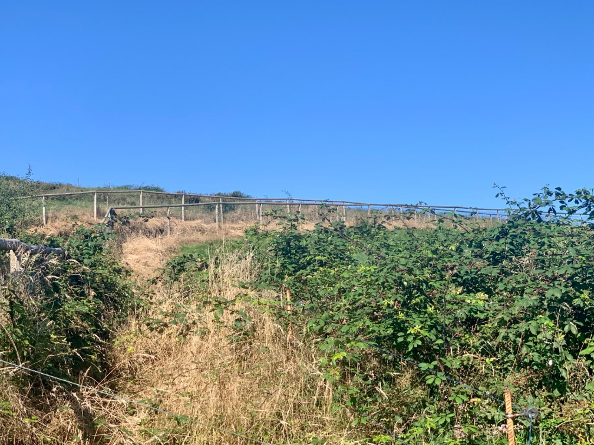 Casas o chalets-Venta-San Roque de Riomera	-1838497-Foto-52