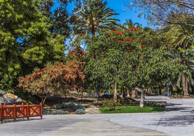 Casas o chalets-Venta-Las Palmas de Gran Canaria-1318211-Foto-71