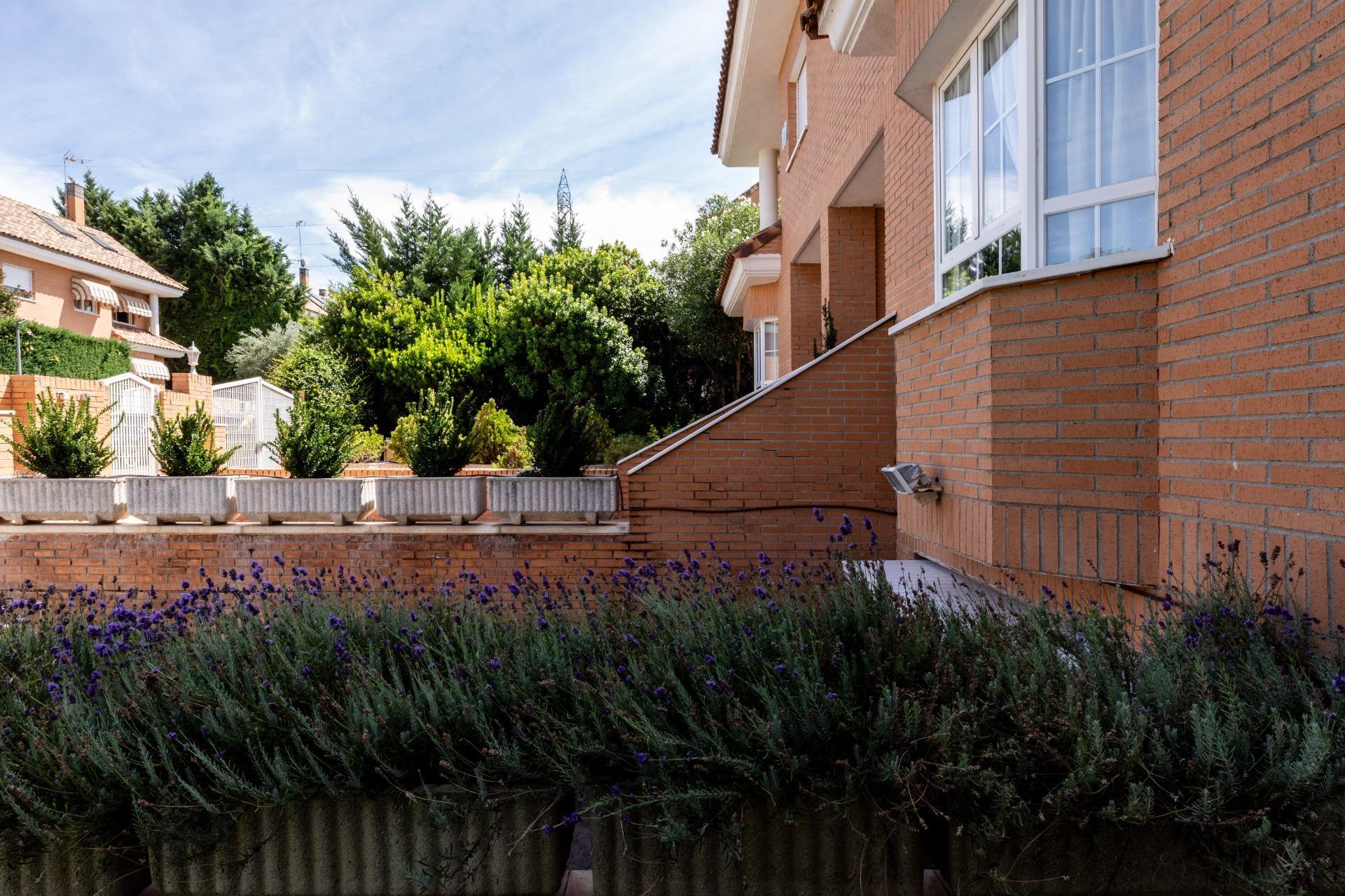Casas o chalets-Venta-Villaviciosa de OdÃ³n-1836500-Foto-38