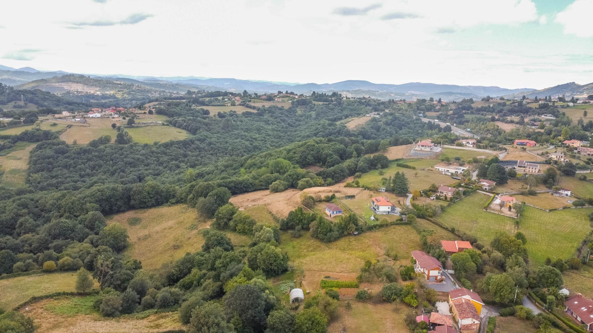 Casas o chalets-Venta-Oviedo-1837697-Foto-38