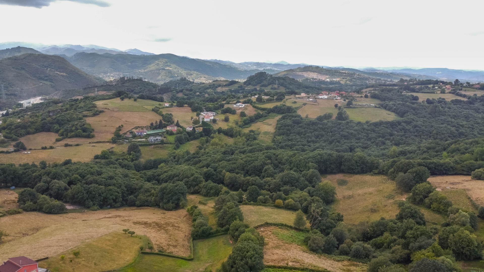 Casas o chalets-Venta-Oviedo-1837697-Foto-37