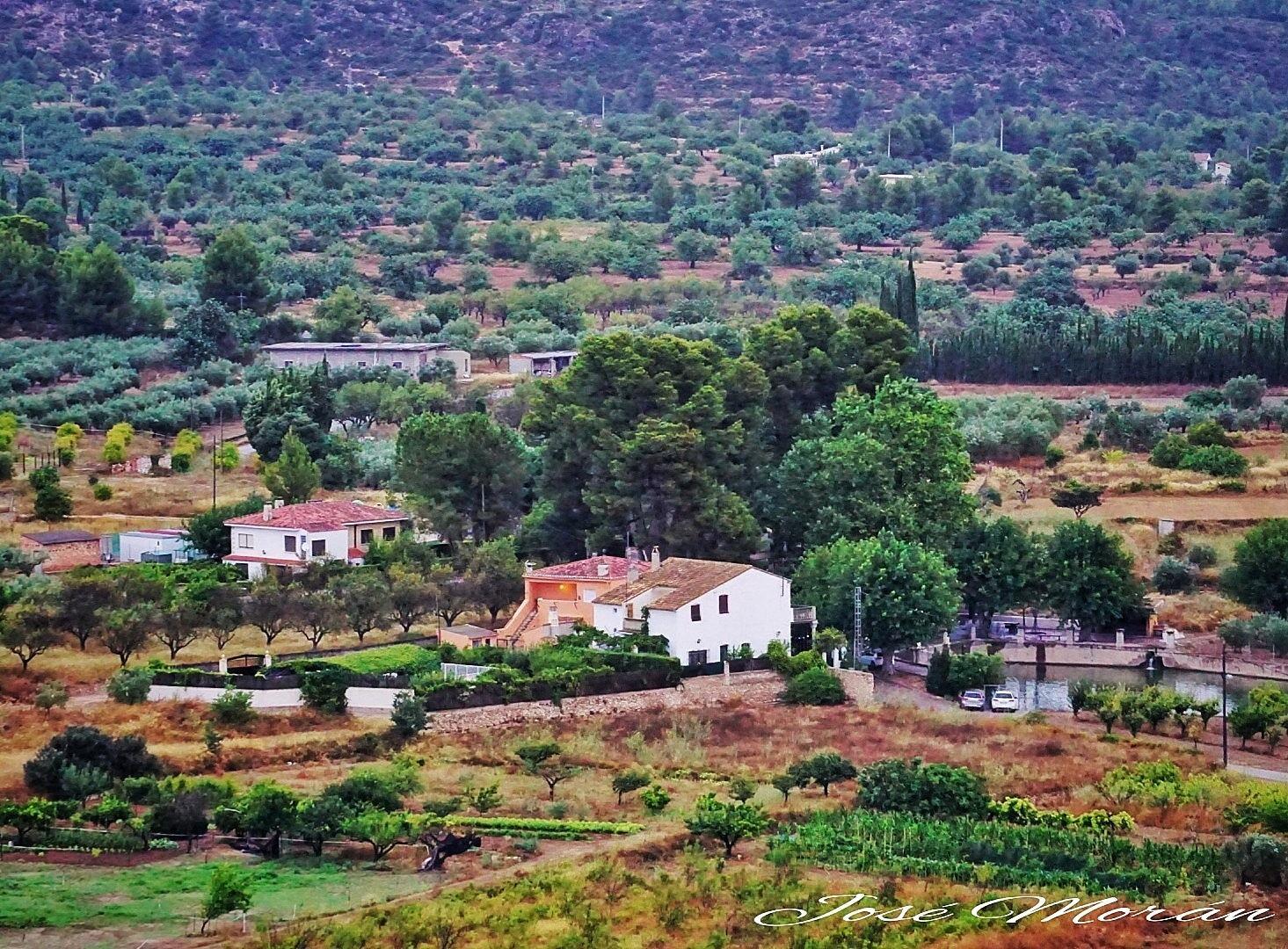Pisos-Venta-Macastre-1837333-Foto-42