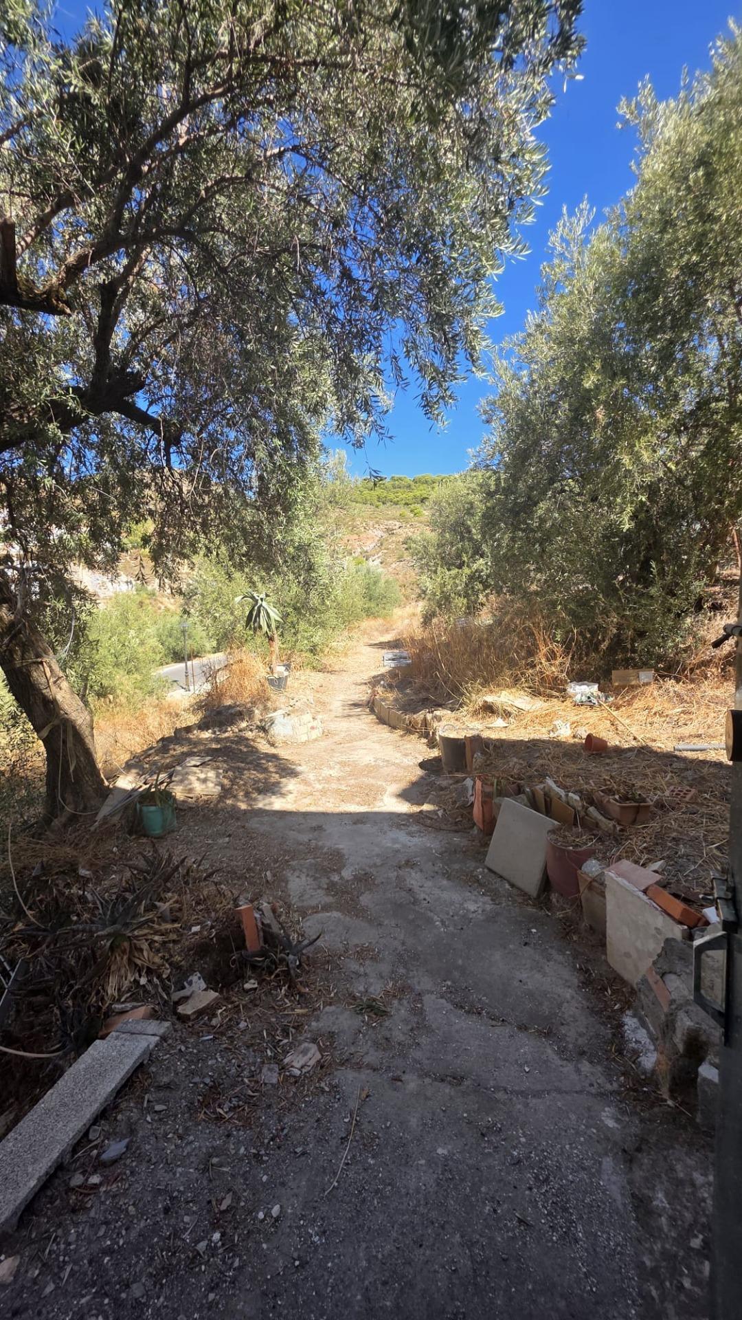 Casas o chalets-Venta-LÃ¡ujar de Andarax-1837712-Foto-33