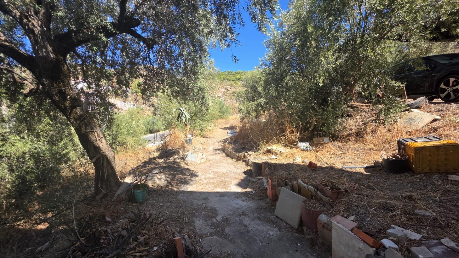 Casas o chalets-Venta-LÃ¡ujar de Andarax-1837712-Foto-34