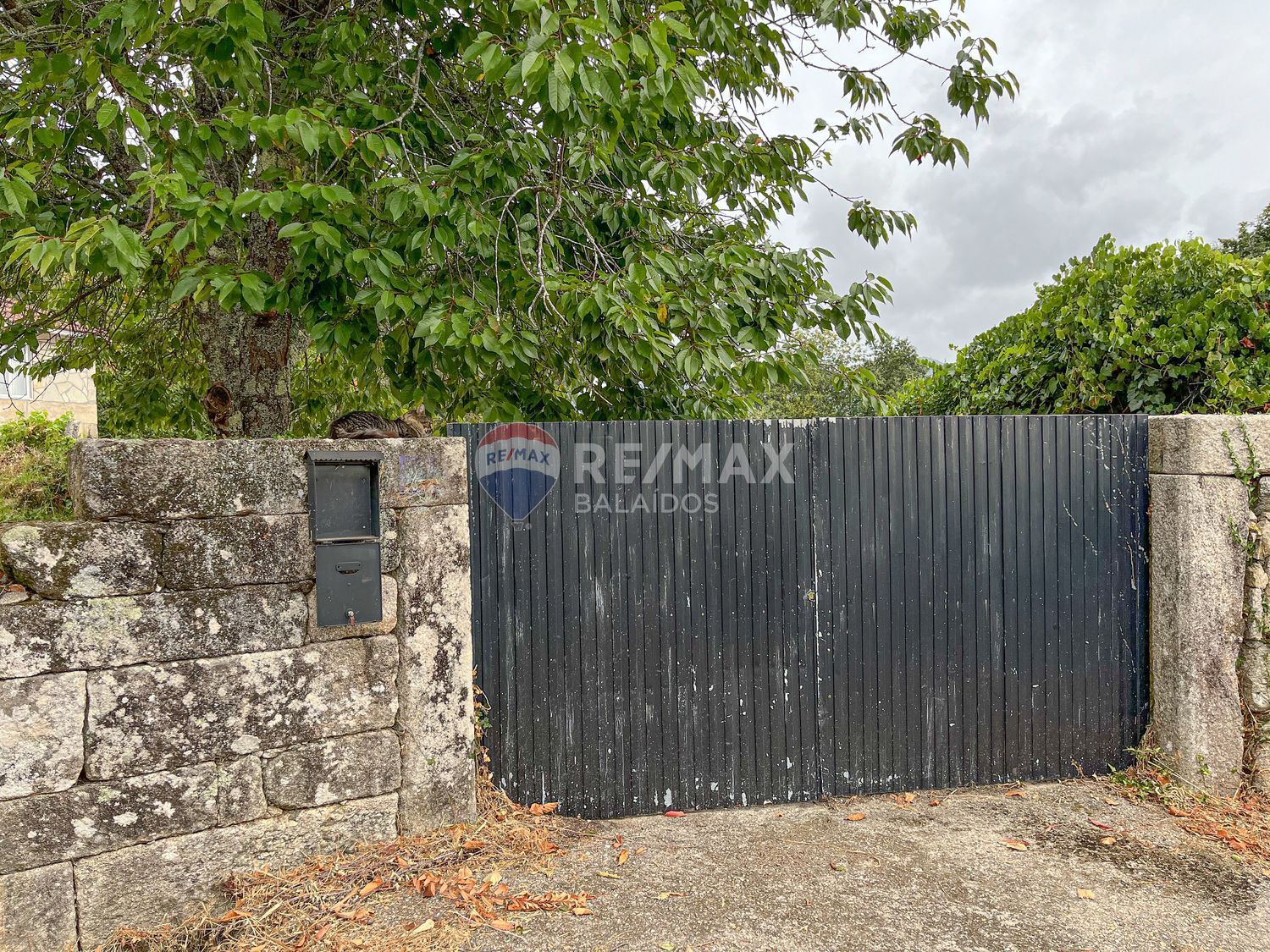 Pisos-Venta-Tui-1837721-Foto-7