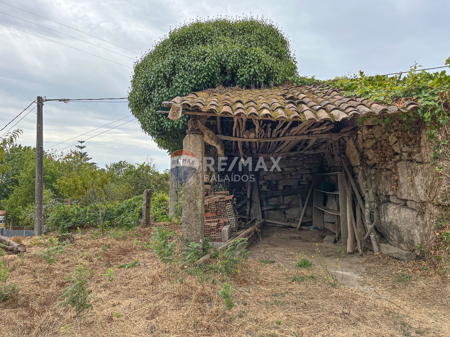 Pisos-Venta-Tui-1837721-Foto-14