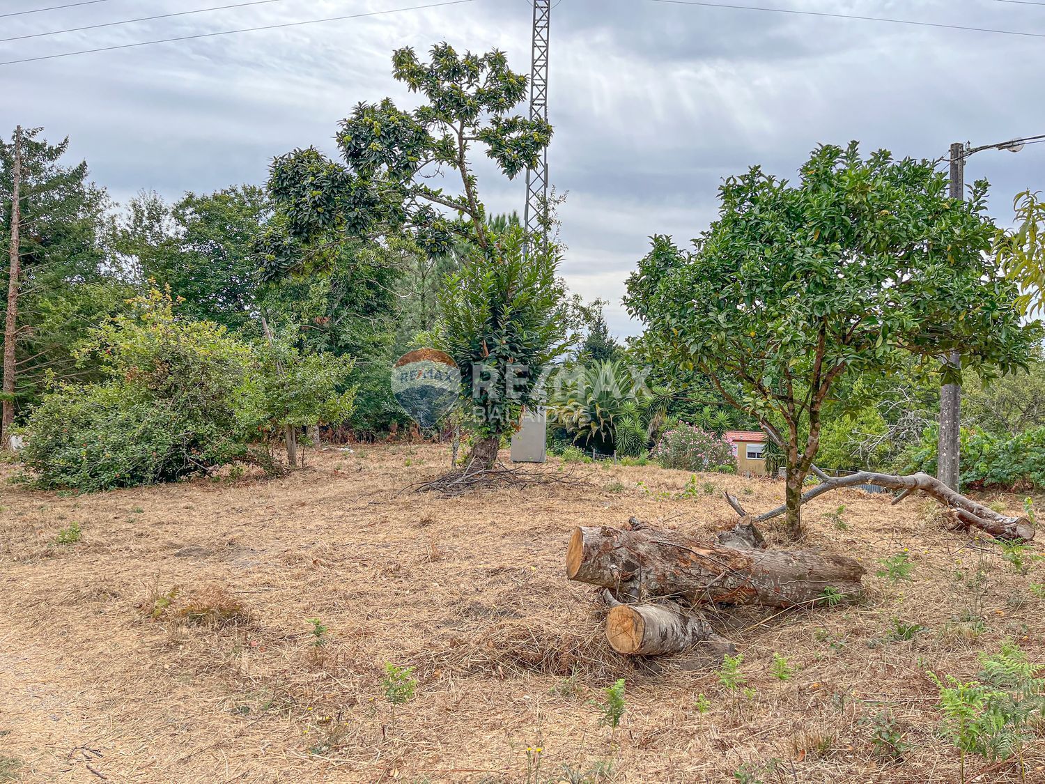 Pisos-Venta-Tui-1837721-Foto-12