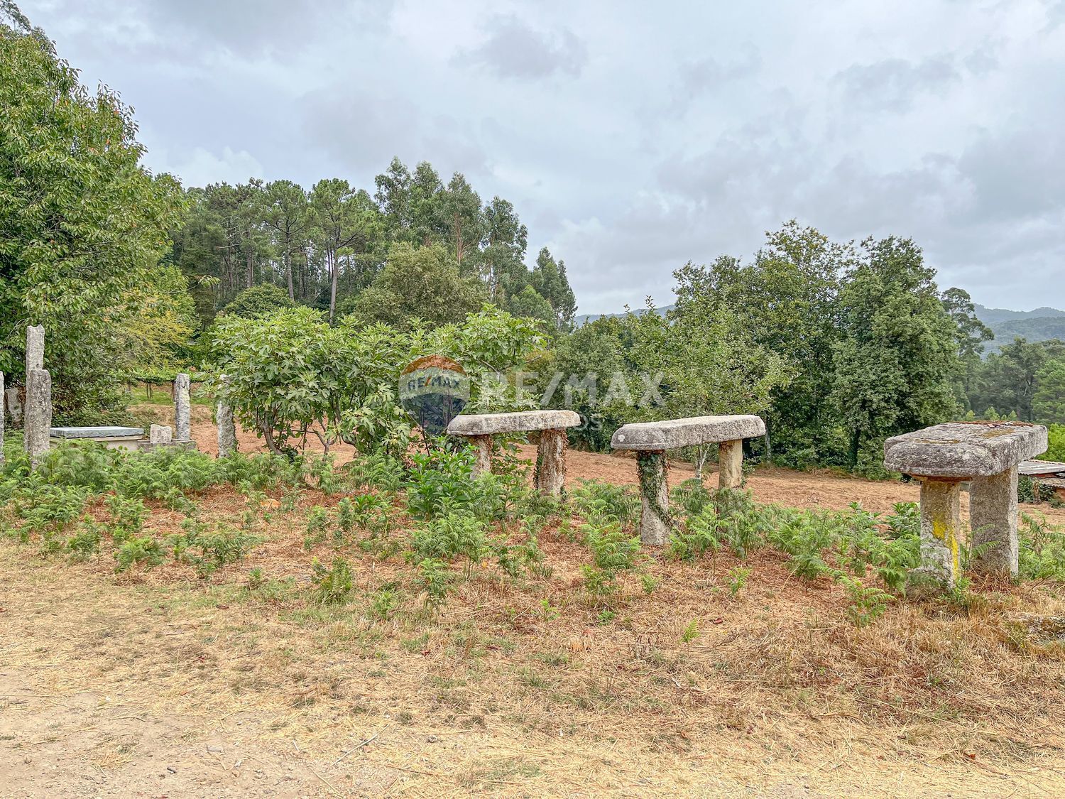 Pisos-Venta-Tui-1837721-Foto-15
