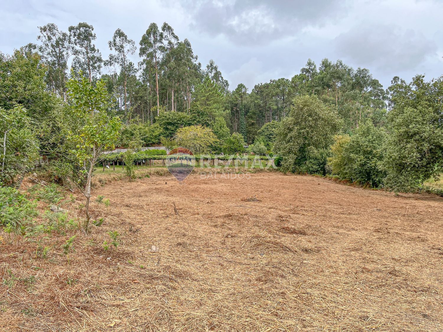 Pisos-Venta-Tui-1837721-Foto-11