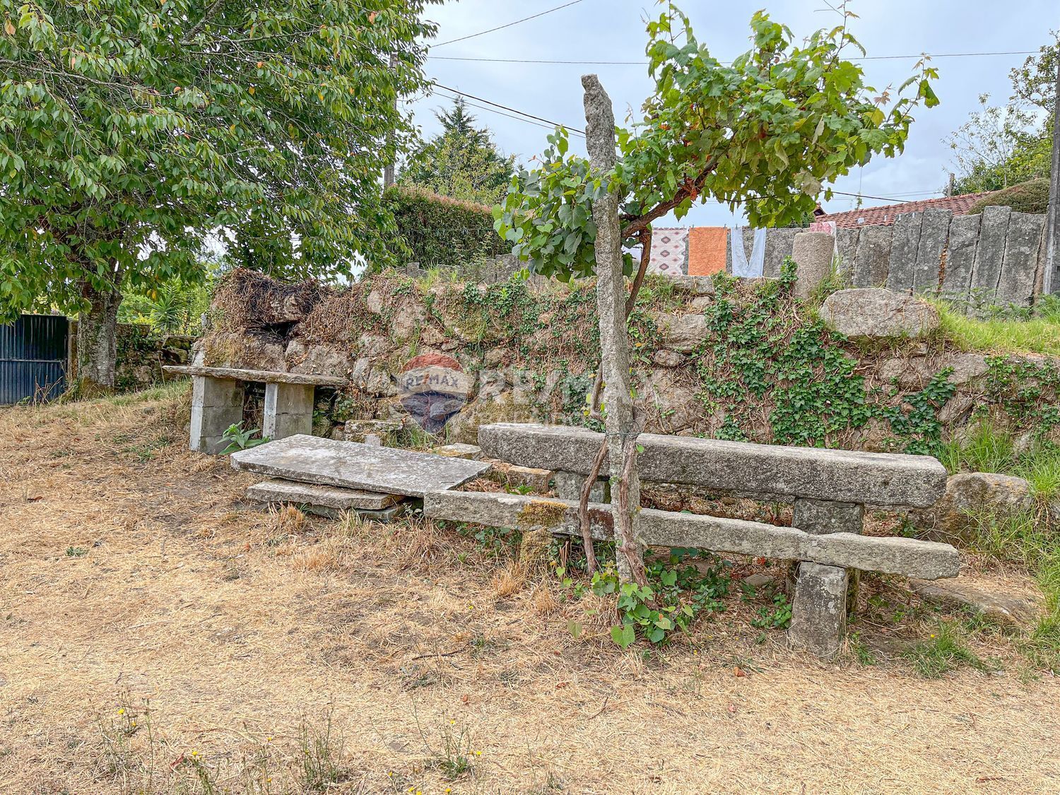 Pisos-Venta-Tui-1837721-Foto-17
