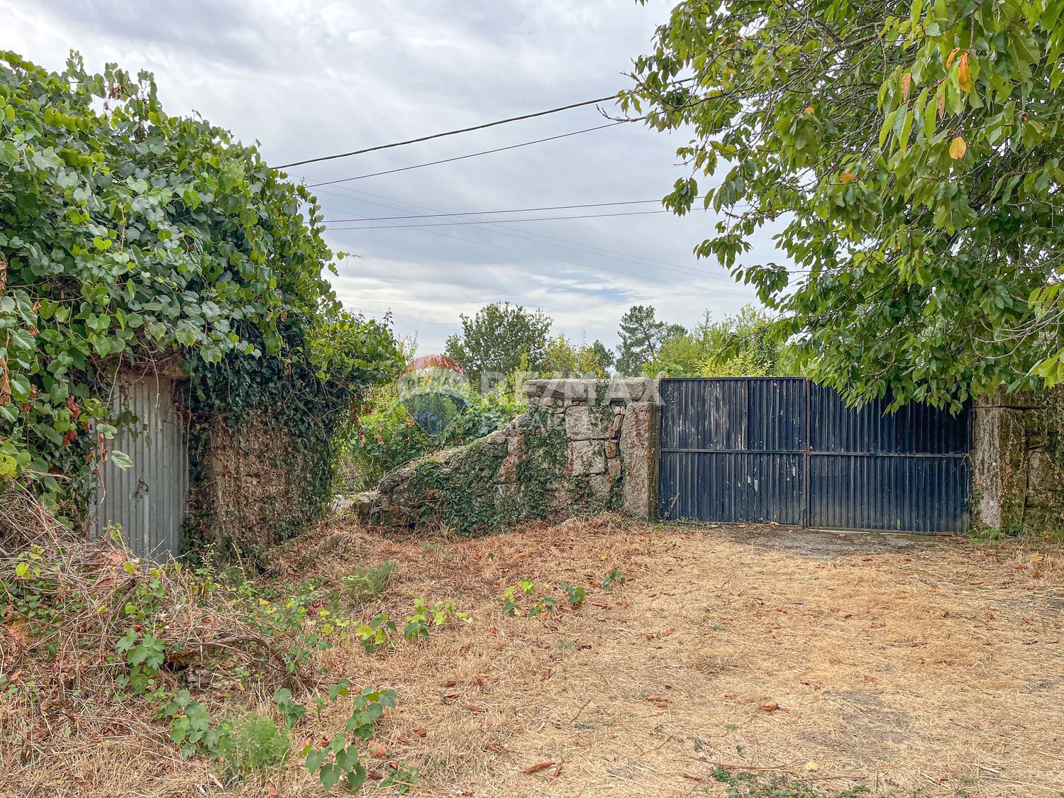 Pisos-Venta-Tui-1837721-Foto-16