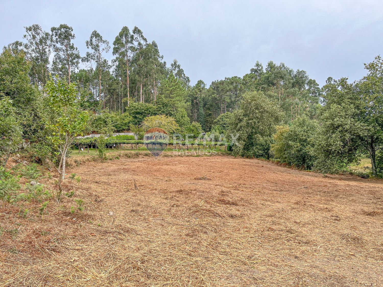 Pisos-Venta-Tui-1837721-Foto-29