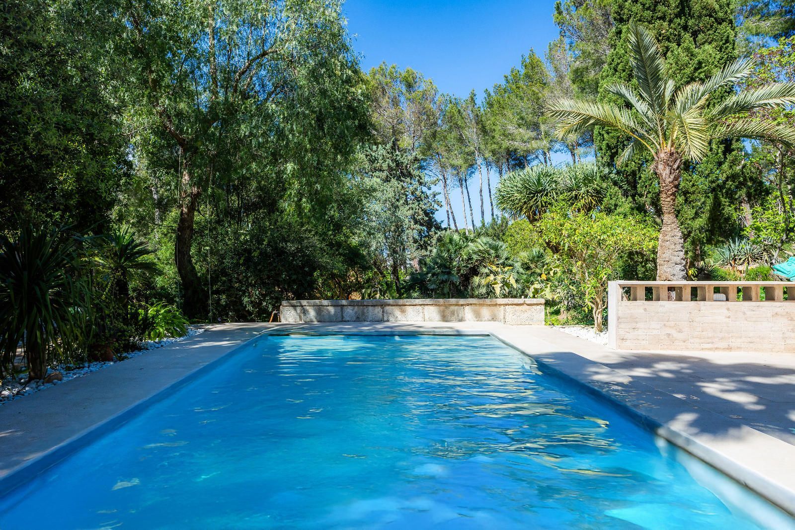 Casas o chalets-Venta-ArtÃ -1717038-Foto-38