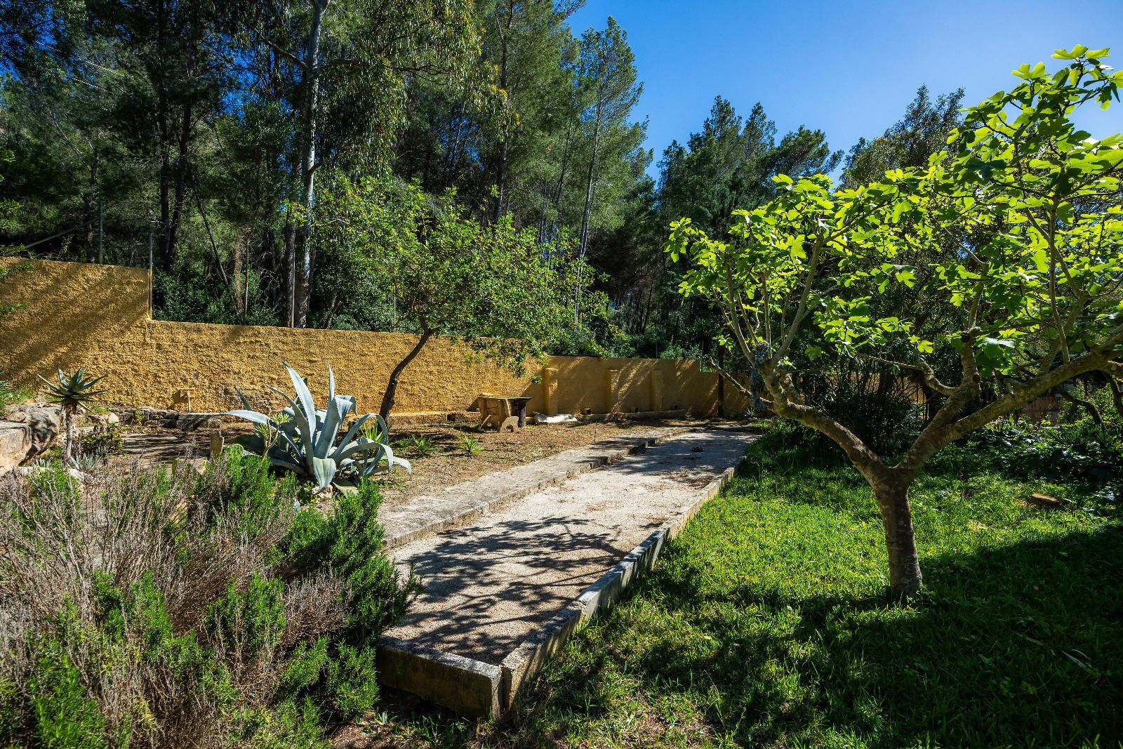 Casas o chalets-Venta-ArtÃ -1717038-Foto-47