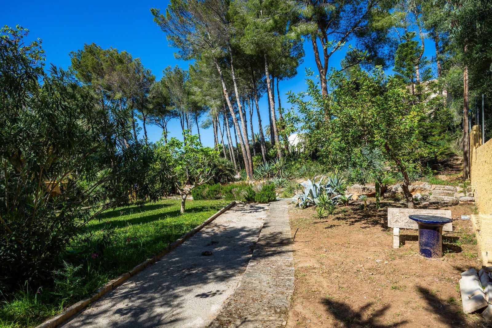 Casas o chalets-Venta-ArtÃ -1717038-Foto-48
