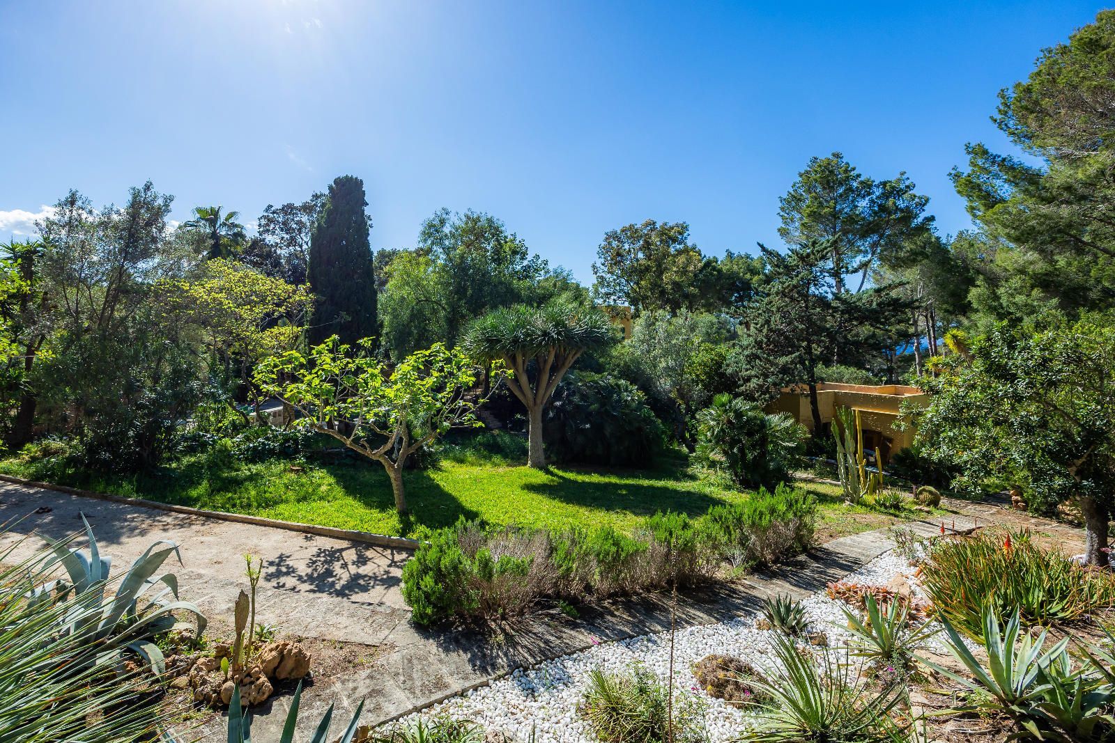 Casas o chalets-Venta-ArtÃ -1717038-Foto-49