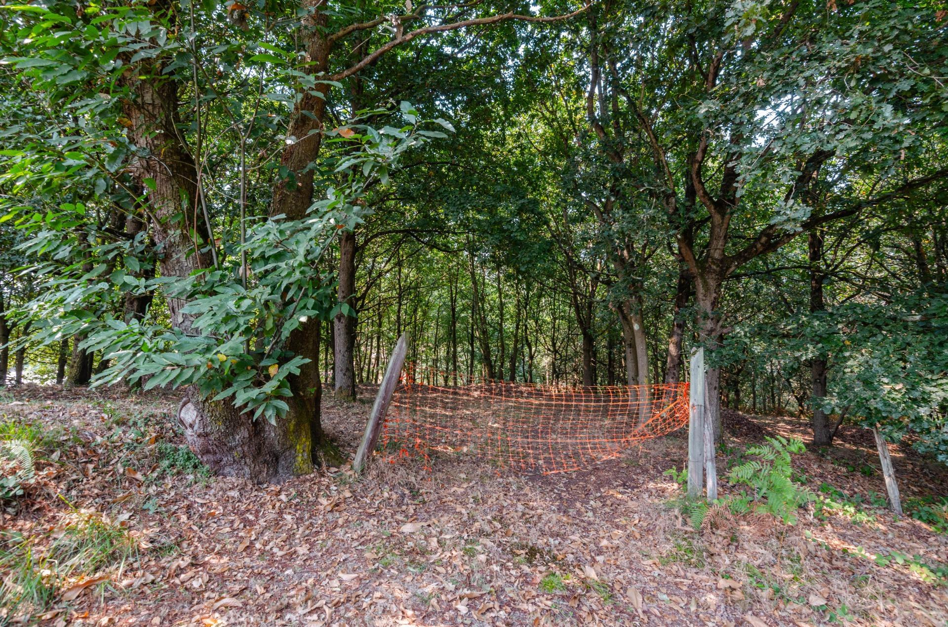 Fincas y solares-Venta-Las Regueras-1838063-Foto-4
