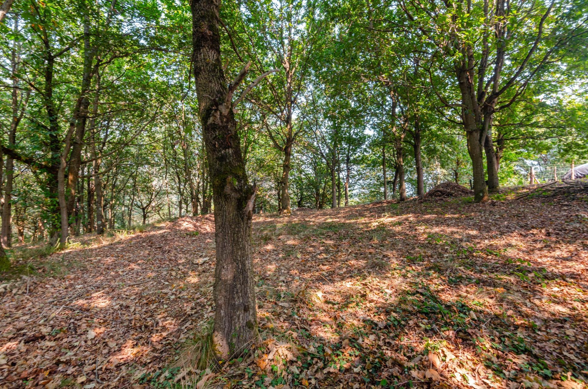 Fincas y solares-Venta-Las Regueras-1838063-Foto-9