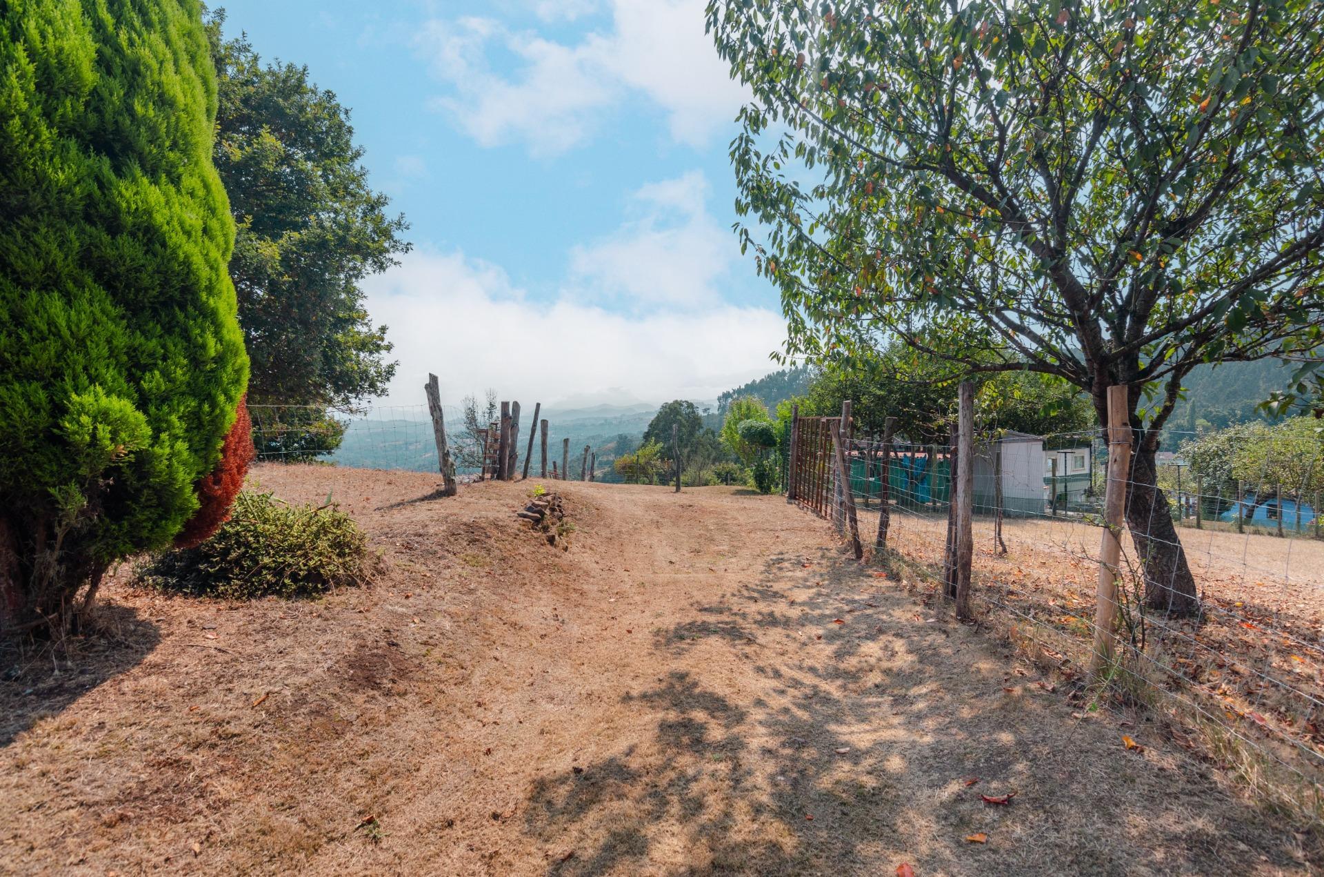 Fincas y solares-Venta-Las Regueras-1838063-Foto-6