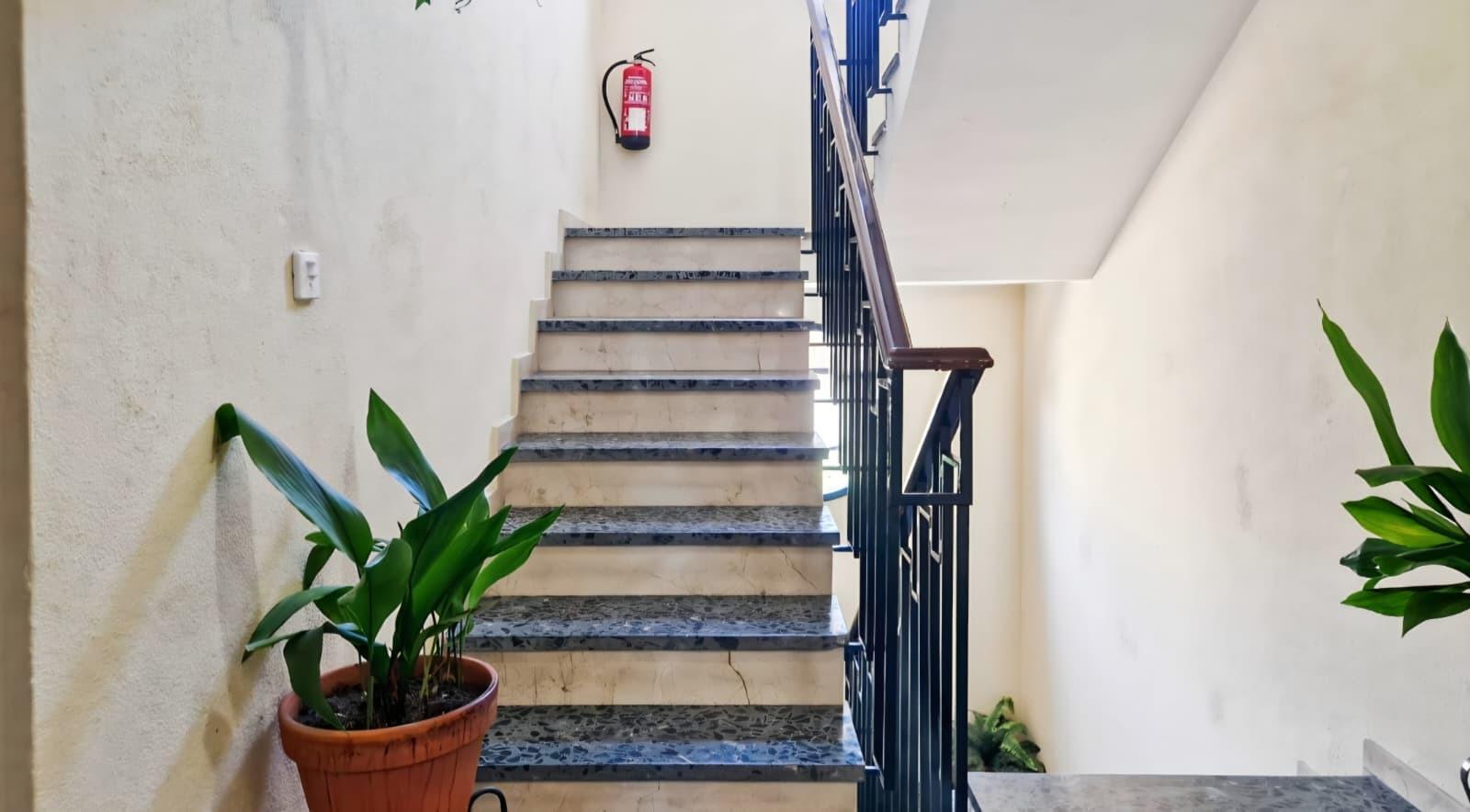 Pisos-Venta-Burguillos-1838084-Foto-8