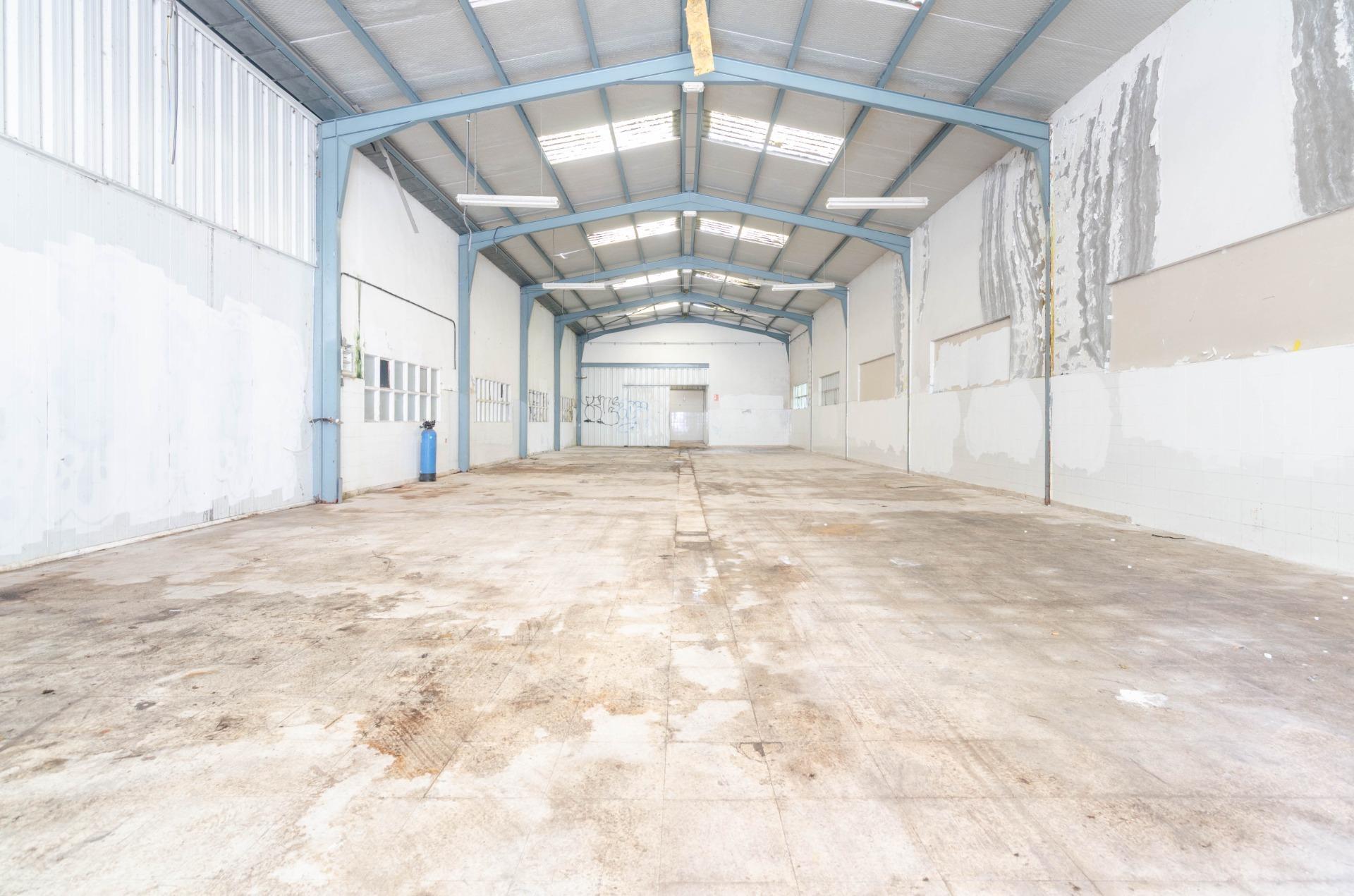 Naves-Venta-PiloÃ±a-2090363-Foto-4