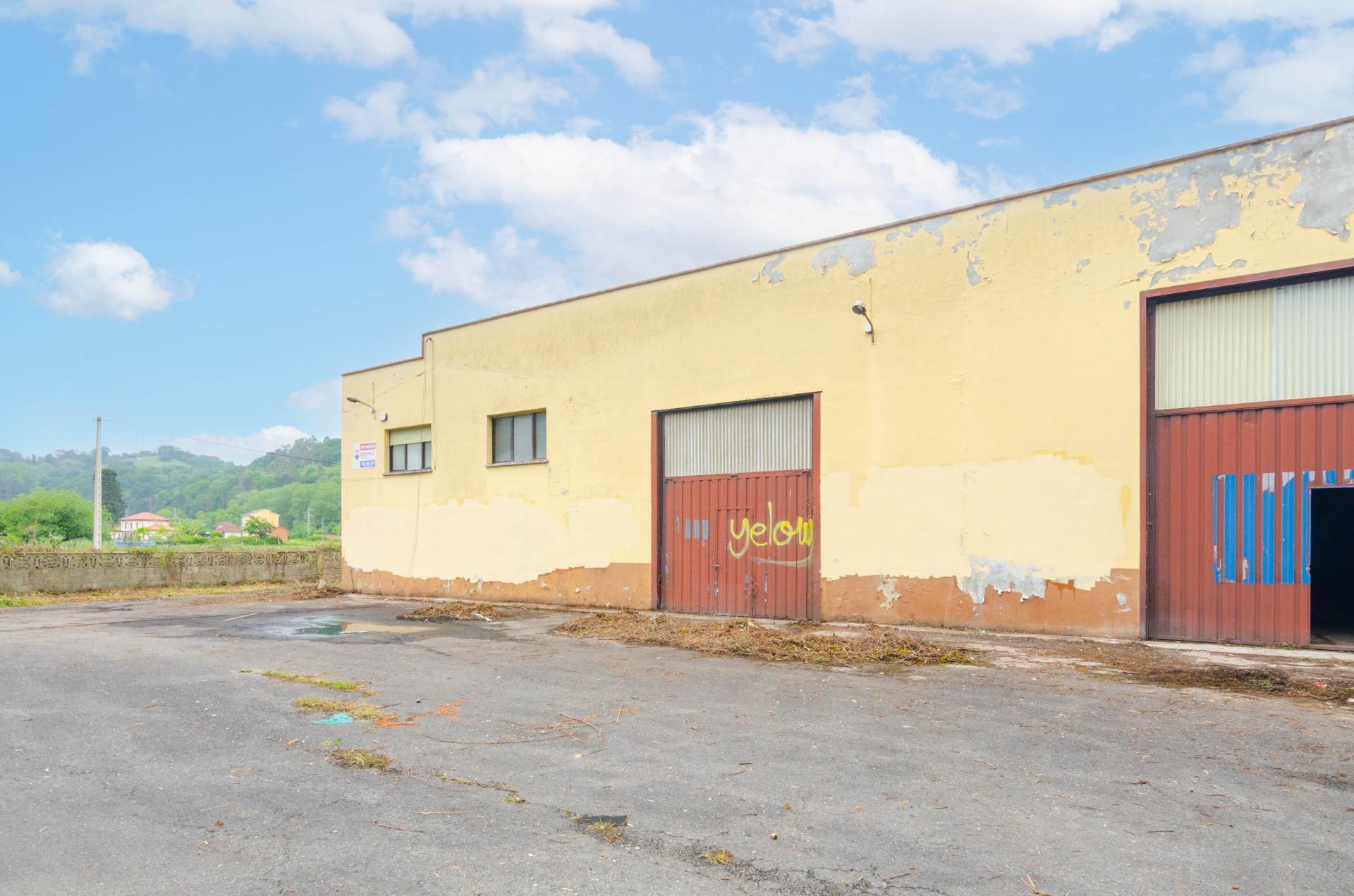 Naves-Venta-PiloÃ±a-2090363-Foto-2