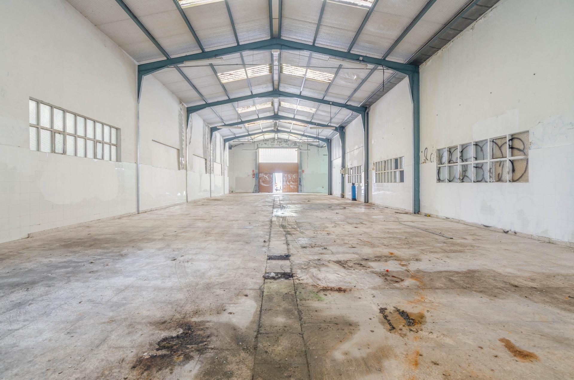 Naves-Venta-PiloÃ±a-2090363-Foto-5