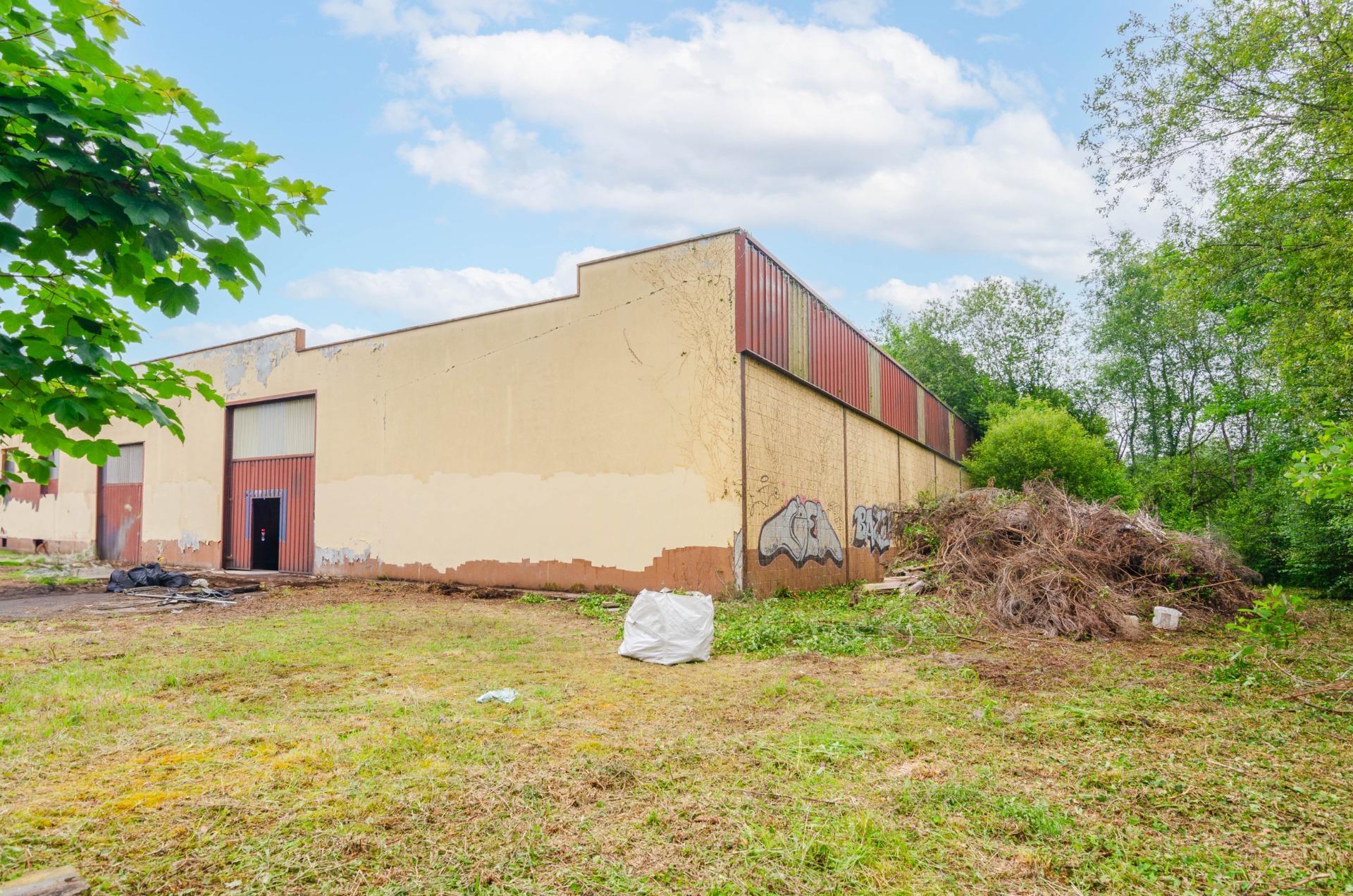 Naves-Venta-PiloÃ±a-2090363-Foto-3