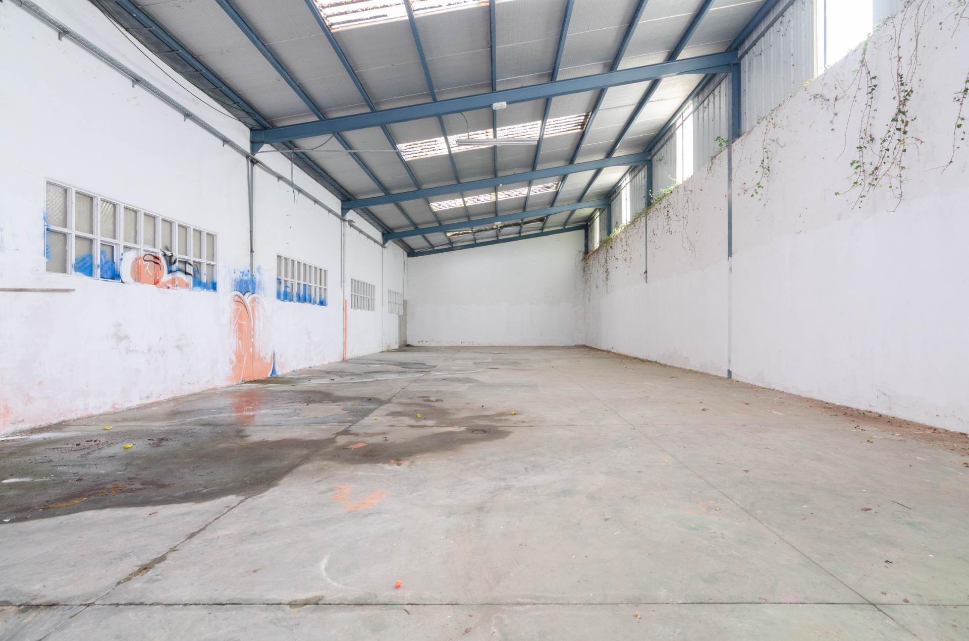 Naves-Venta-PiloÃ±a-2090363-Foto-7