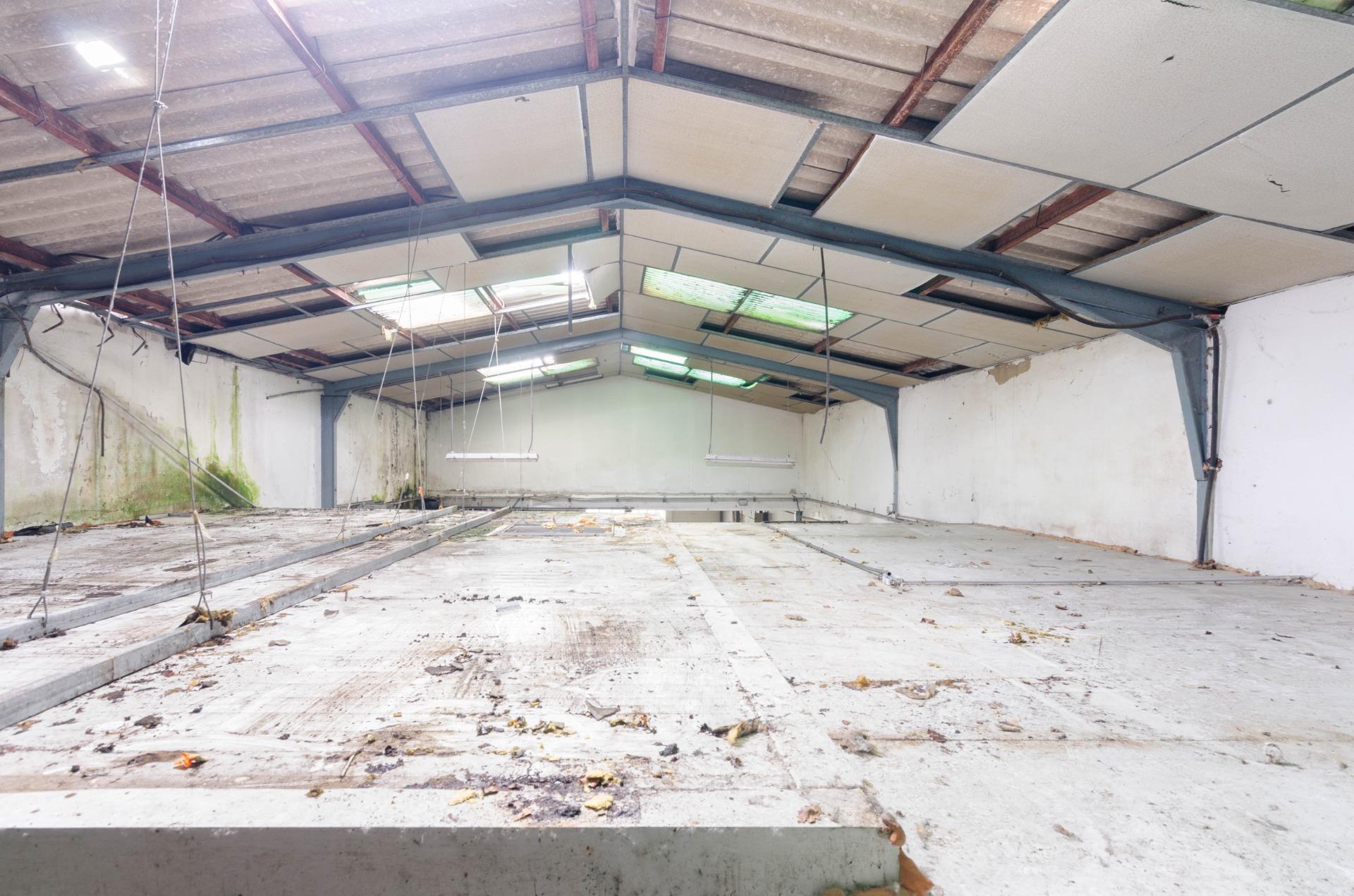 Naves-Venta-PiloÃ±a-2090363-Foto-9