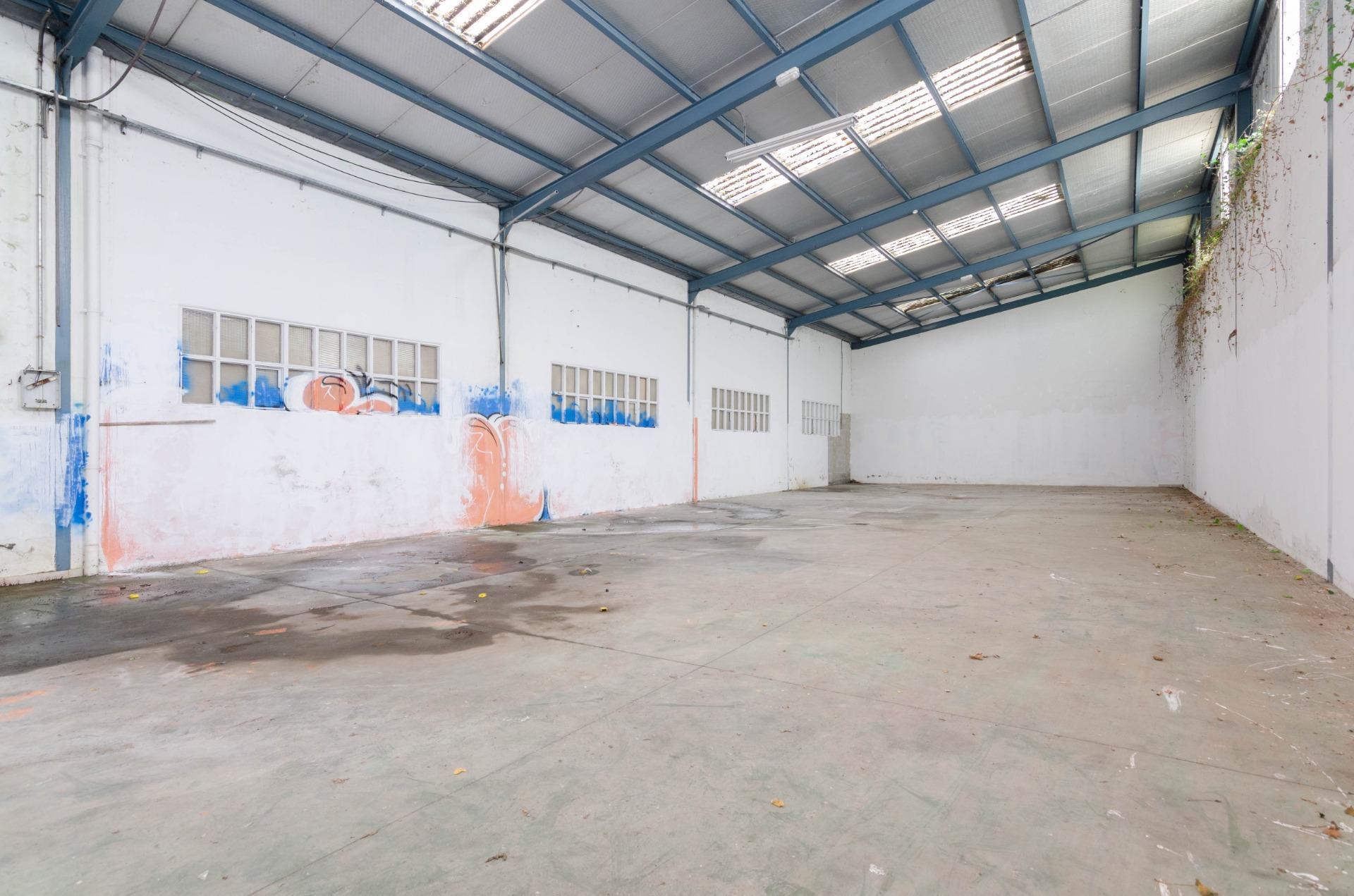 Naves-Venta-PiloÃ±a-2090363-Foto-8