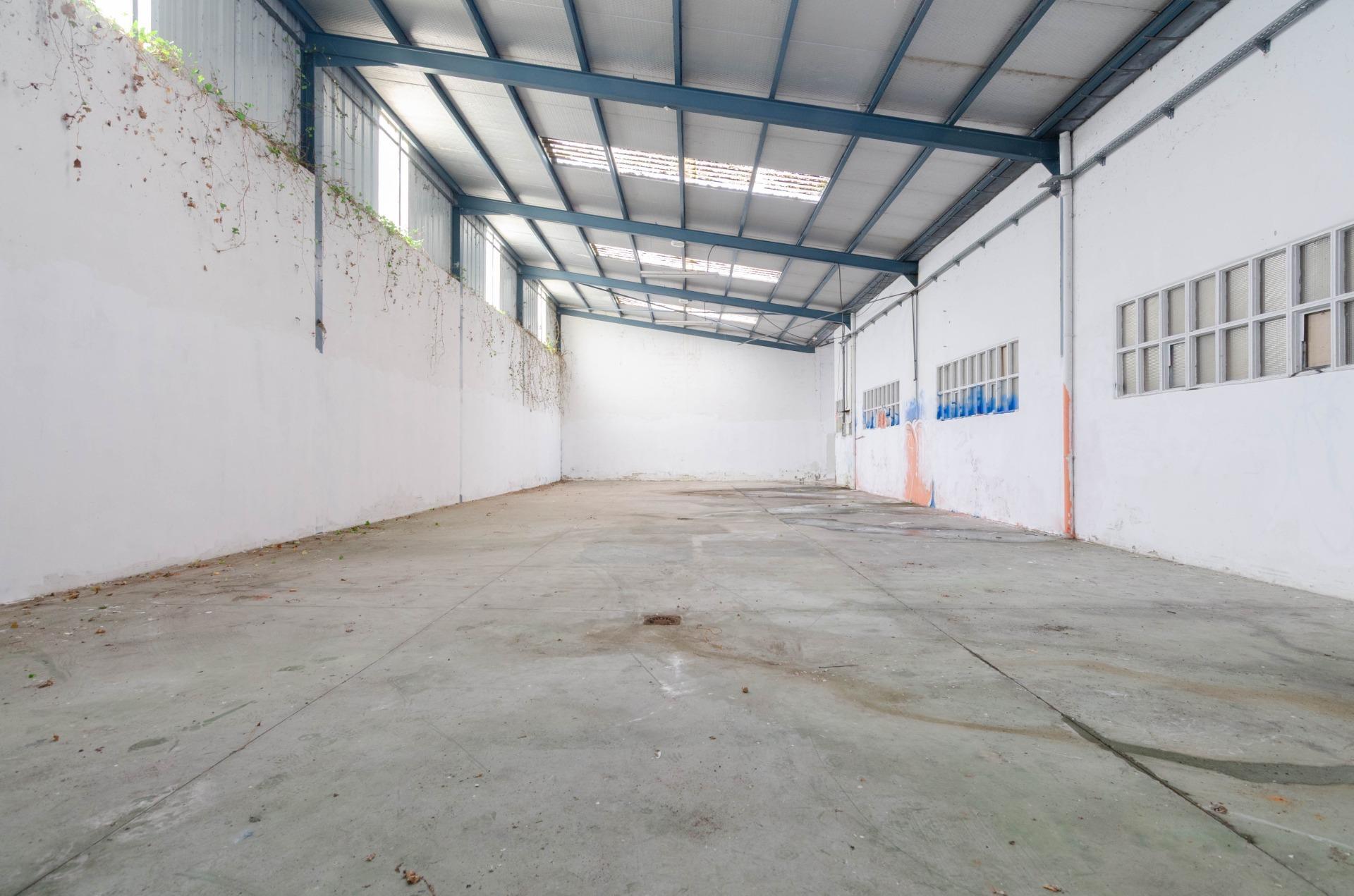 Naves-Venta-PiloÃ±a-2090363-Foto-6