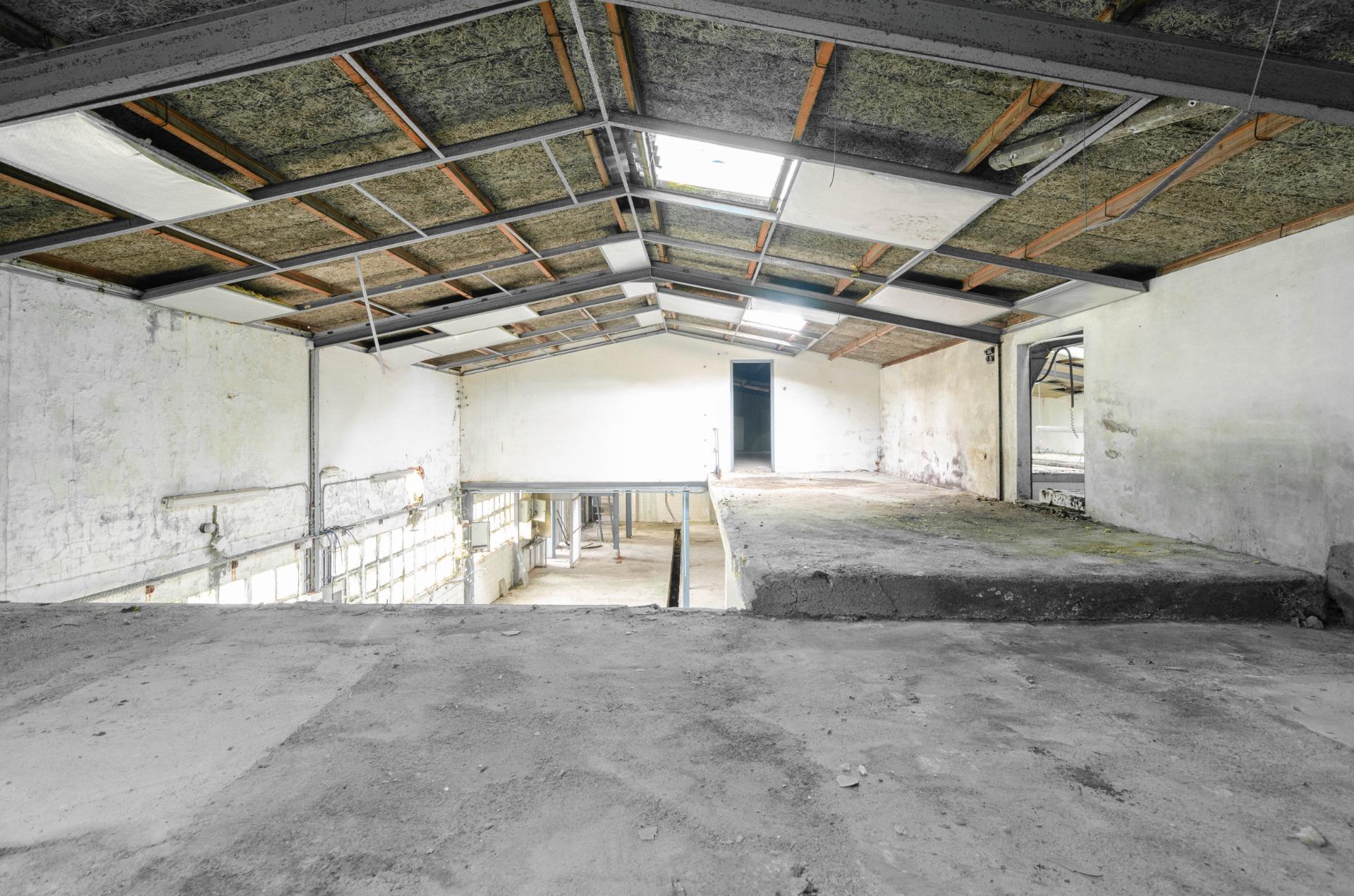 Naves-Venta-PiloÃ±a-2090363-Foto-15